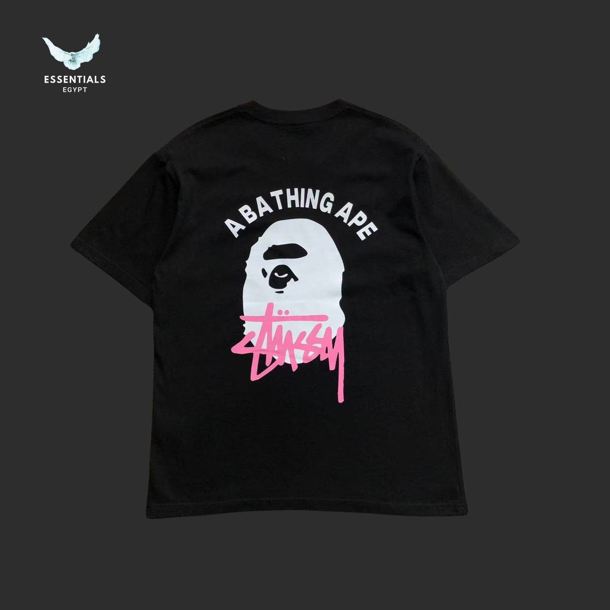 BAPE STUSSY T-SHIRT 3111050321