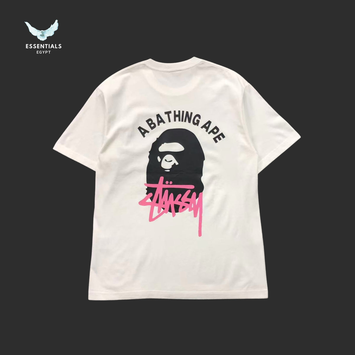 BAPE STUSSY T-SHIRT 3111050321