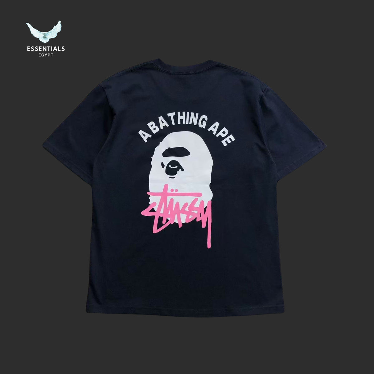 BAPE STUSSY T-SHIRT 3111050321
