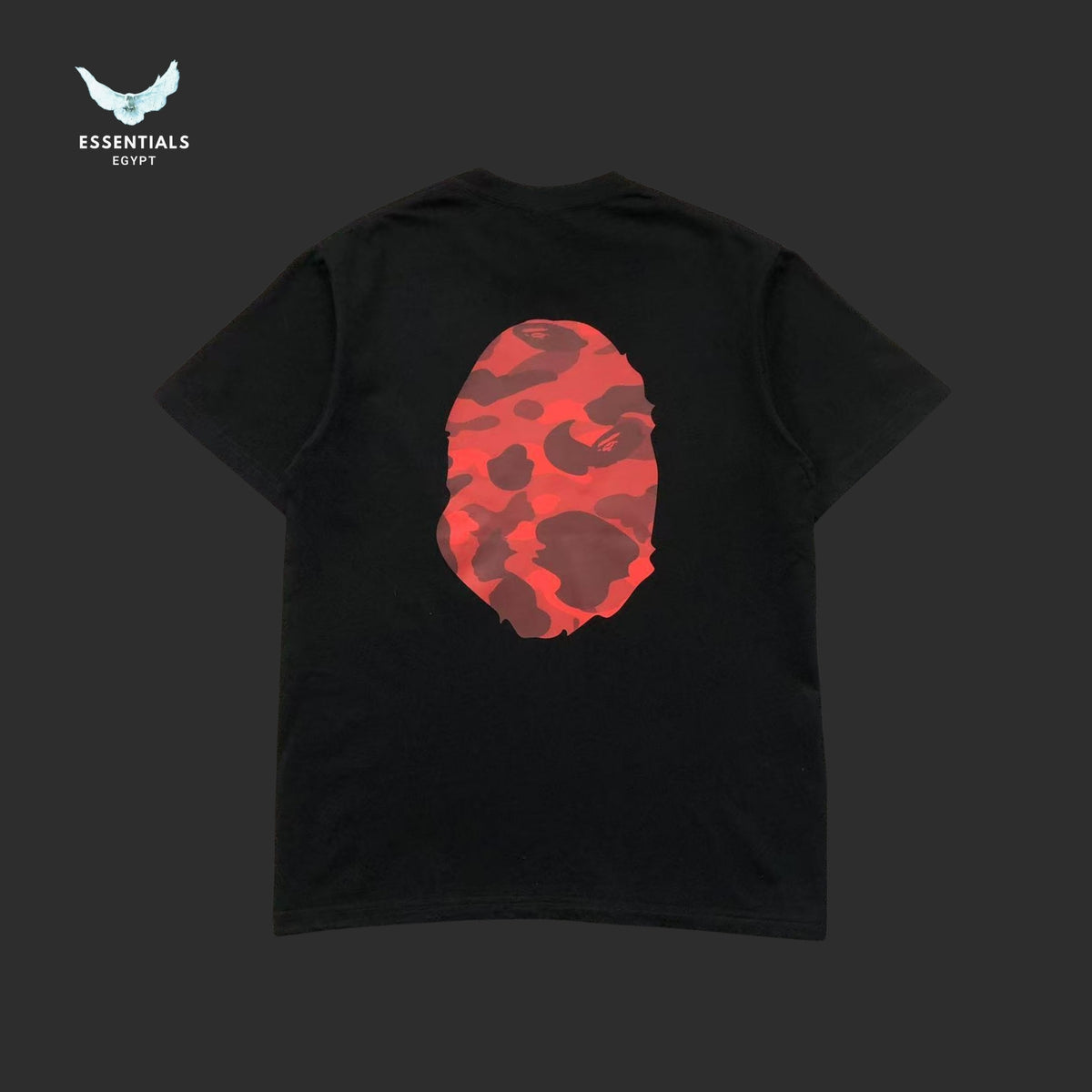 BAPE T-SHIRT 1112251831