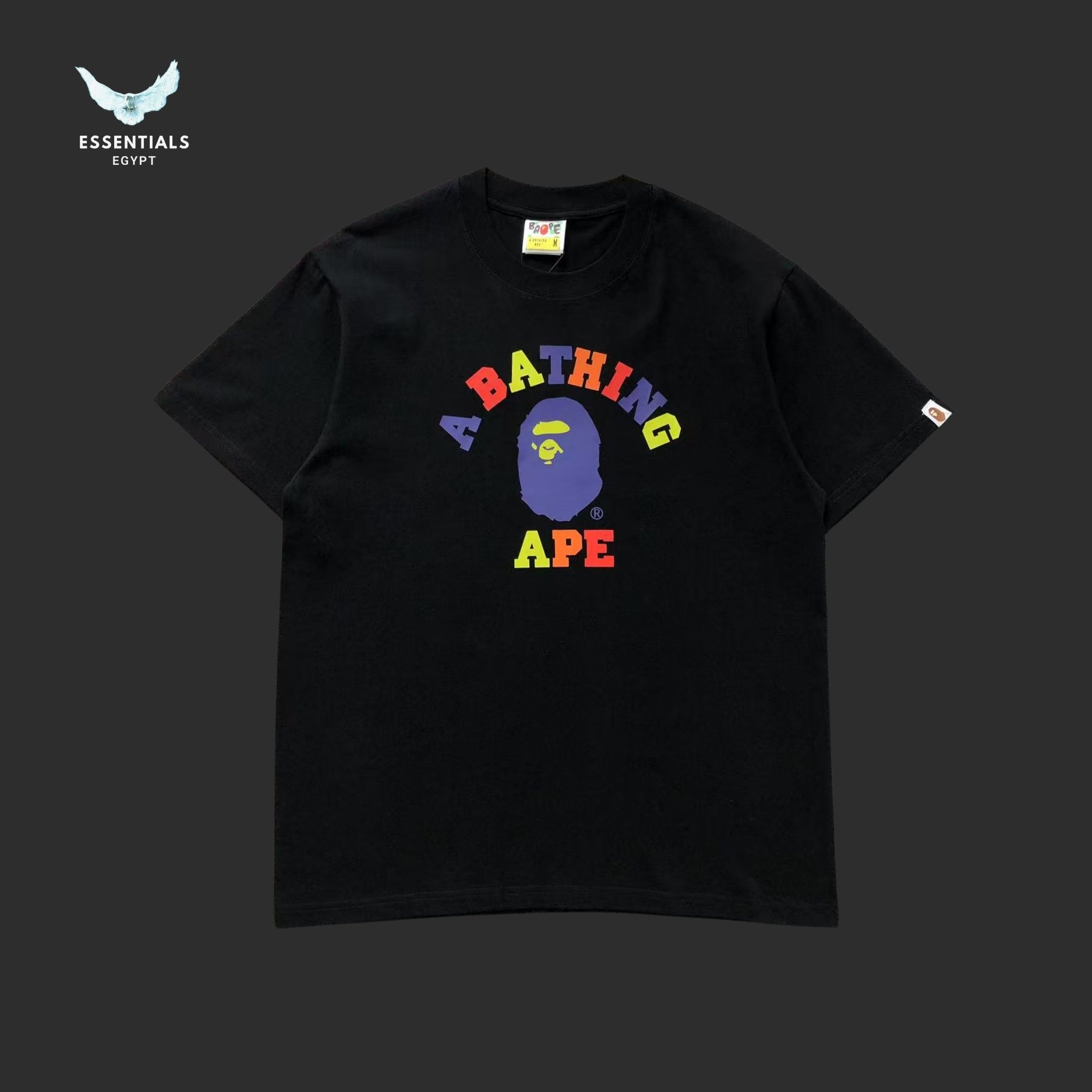 BAPE Colors College Tee