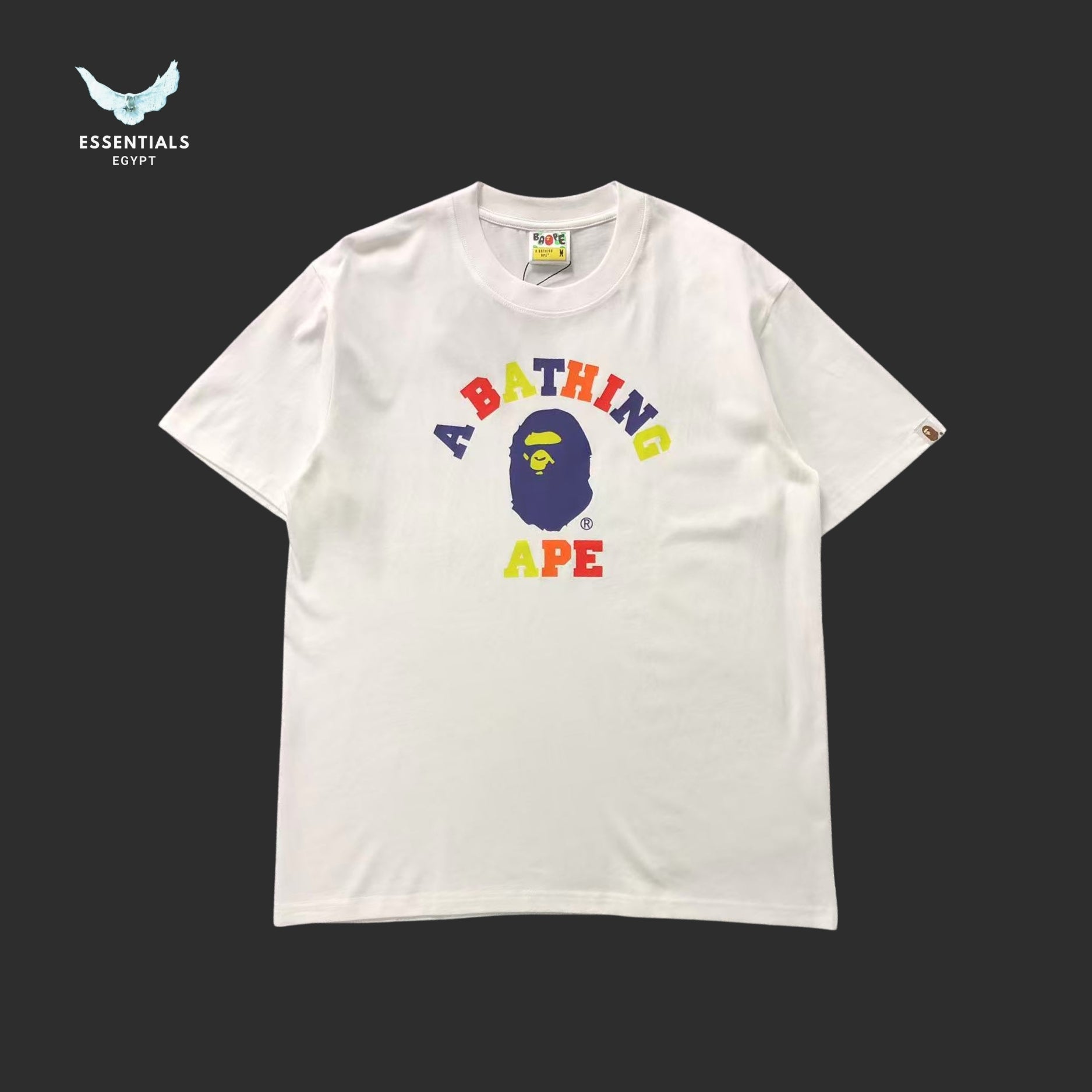 BAPE Colors College Tee