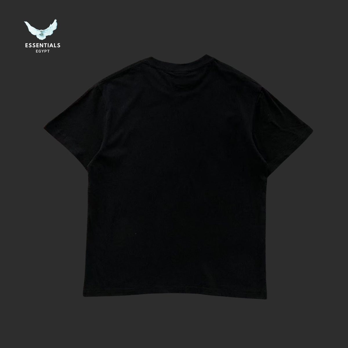 BAPE T-SHIRT 3108280117