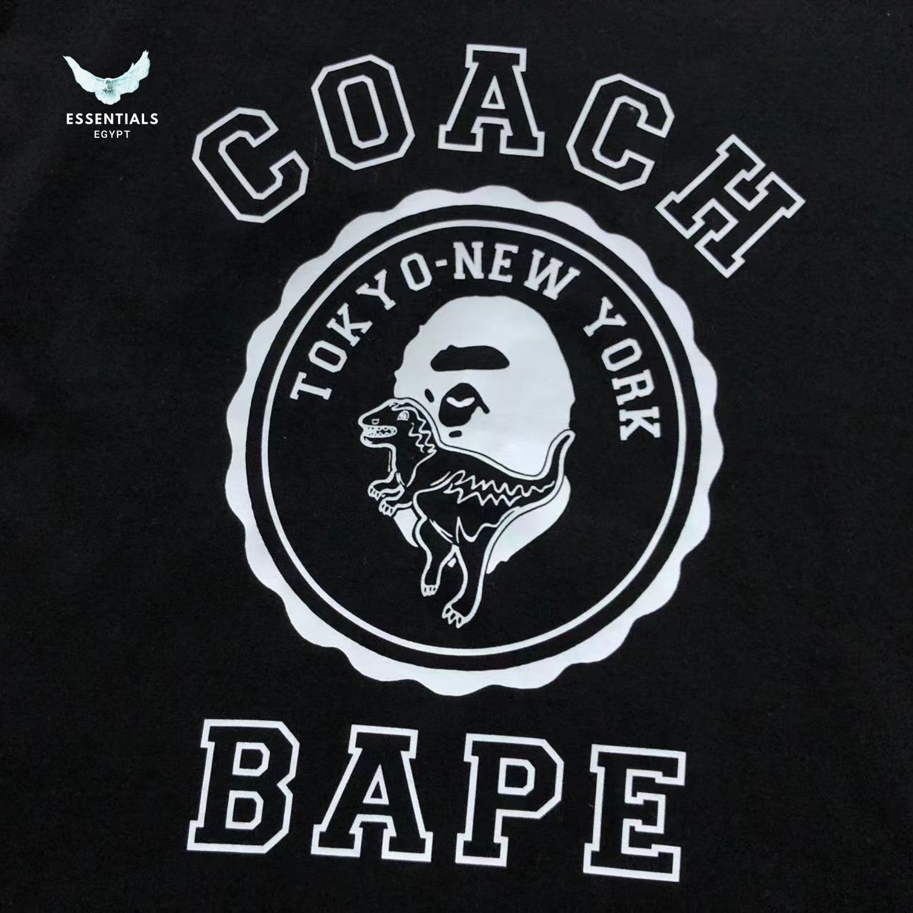 BAPE x Coach College Tee Black
