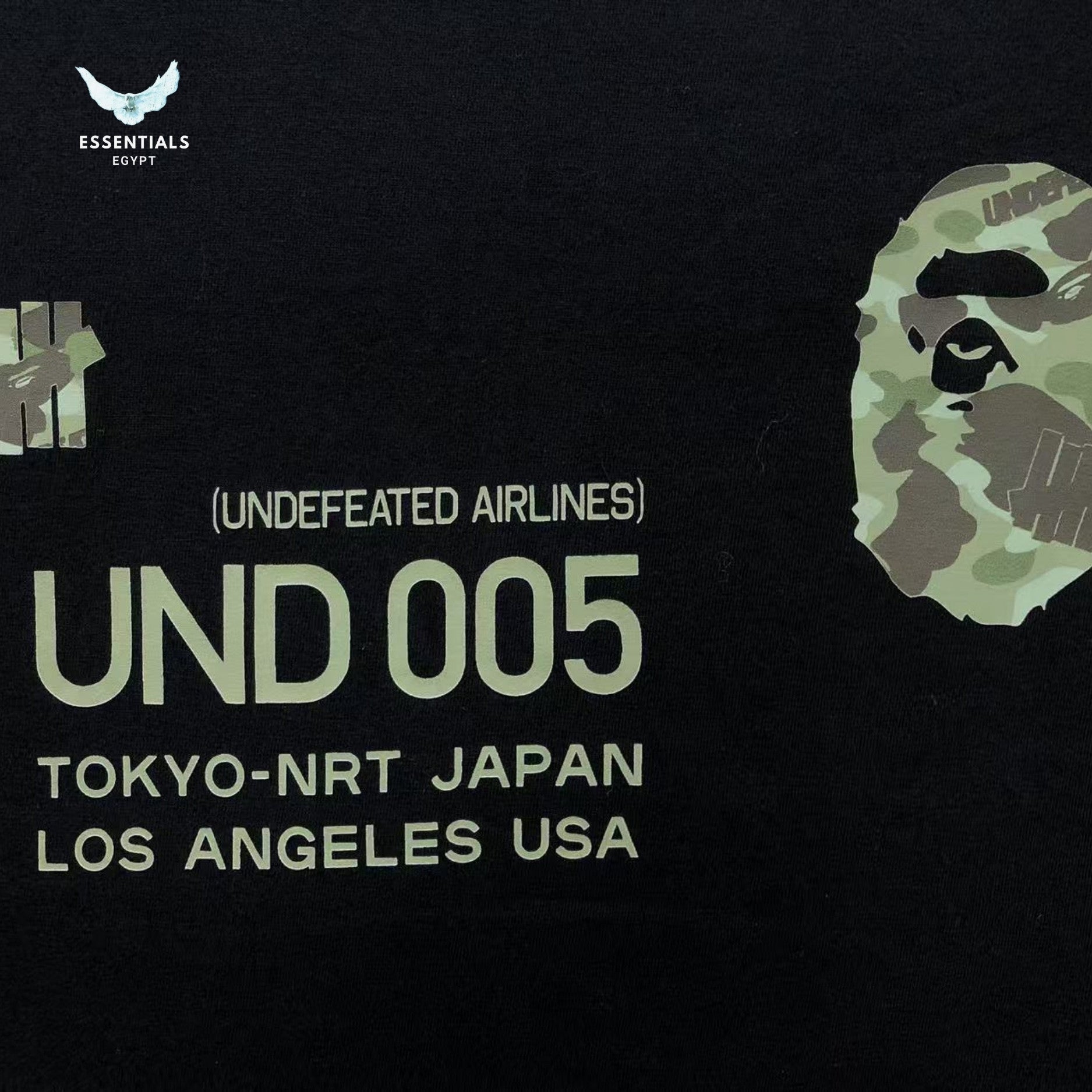 BAPE T-SHIRT 3108280817 duplicated