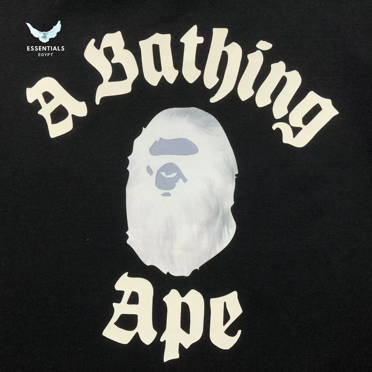 BAPE T-SHIRT 3112102111