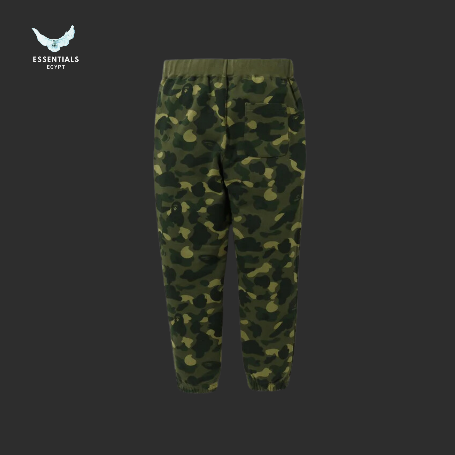 BAPE Color Camo Wide Fit Sweat Pants 'Green'