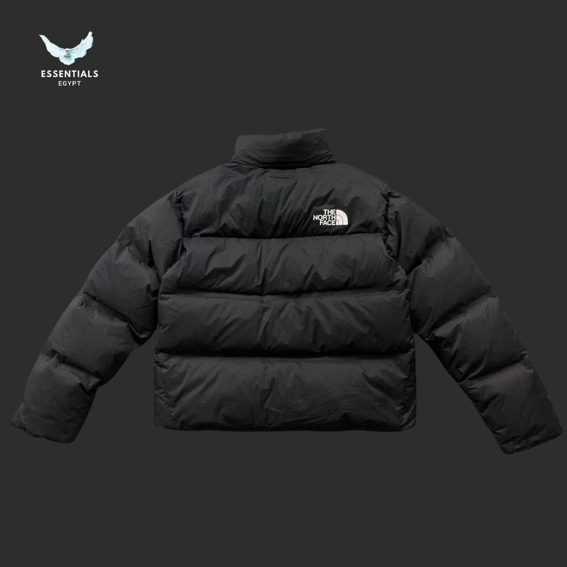 The North Face 1996 Nuptse Jacket