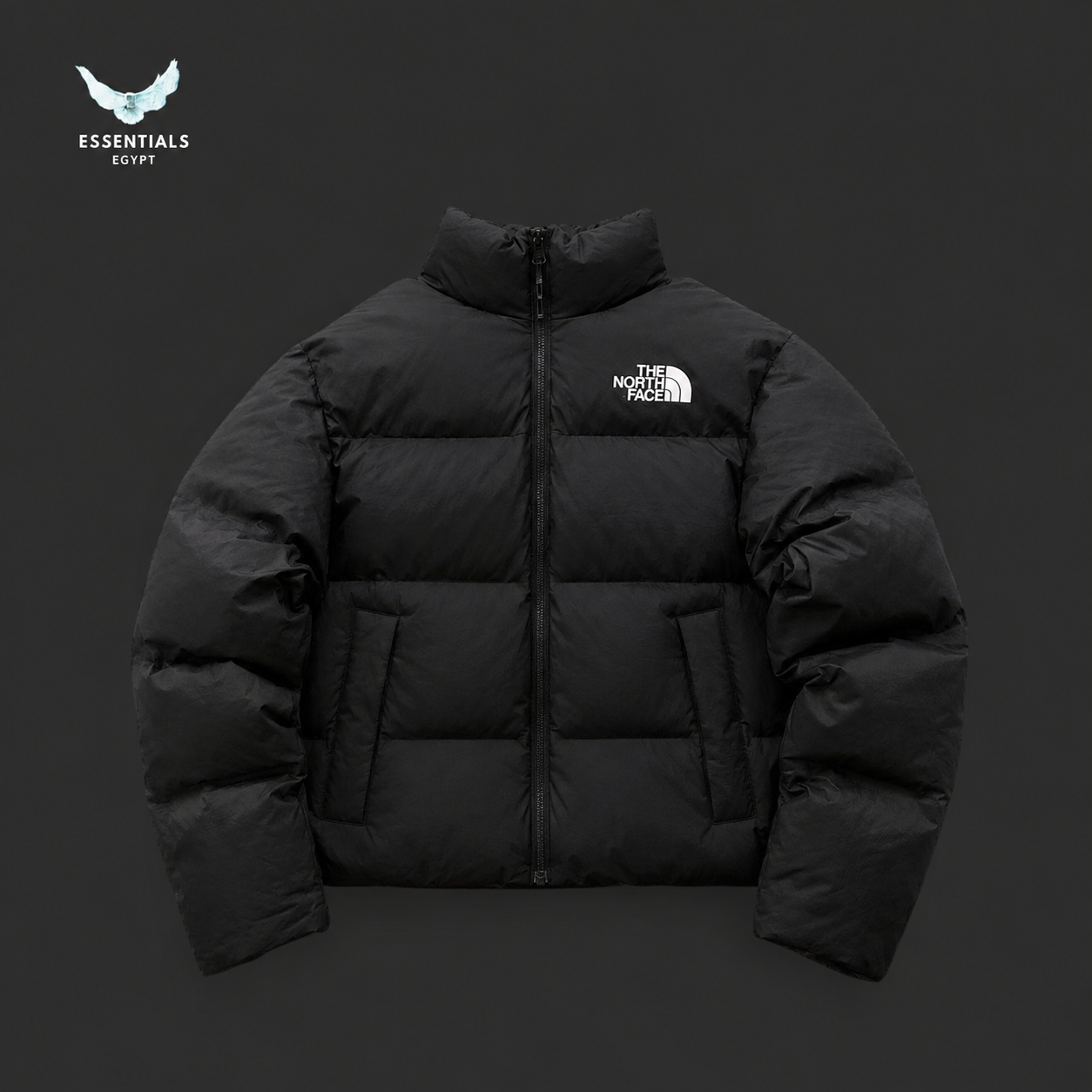 The North Face 1996 Nuptse Jacket
