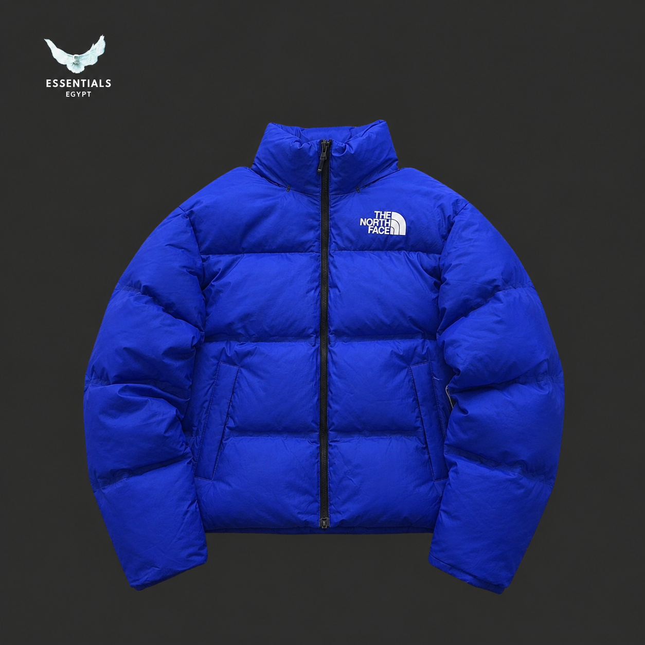 The North Face 1996 Nuptse Jacket