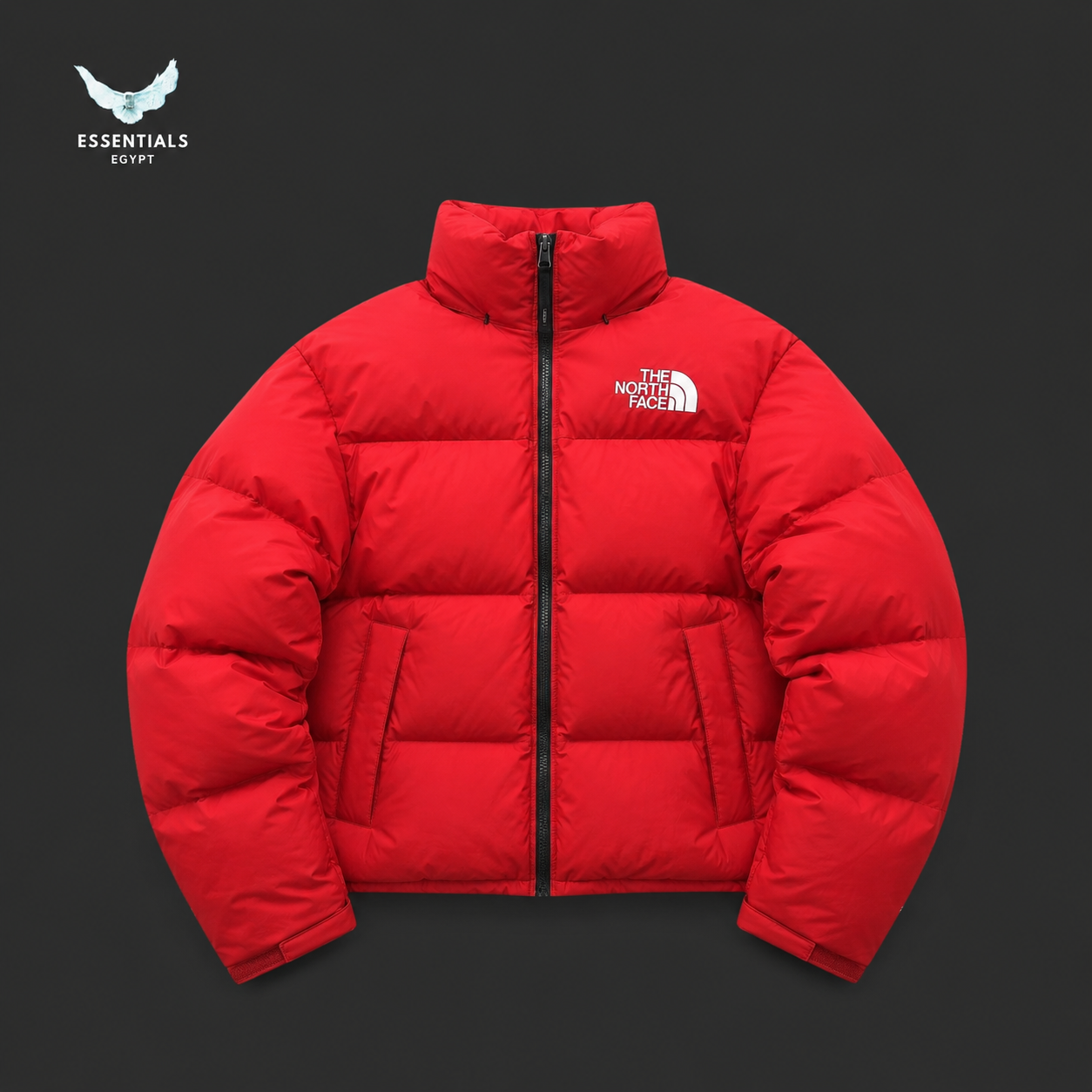 The North Face 1996 Nuptse Jacket