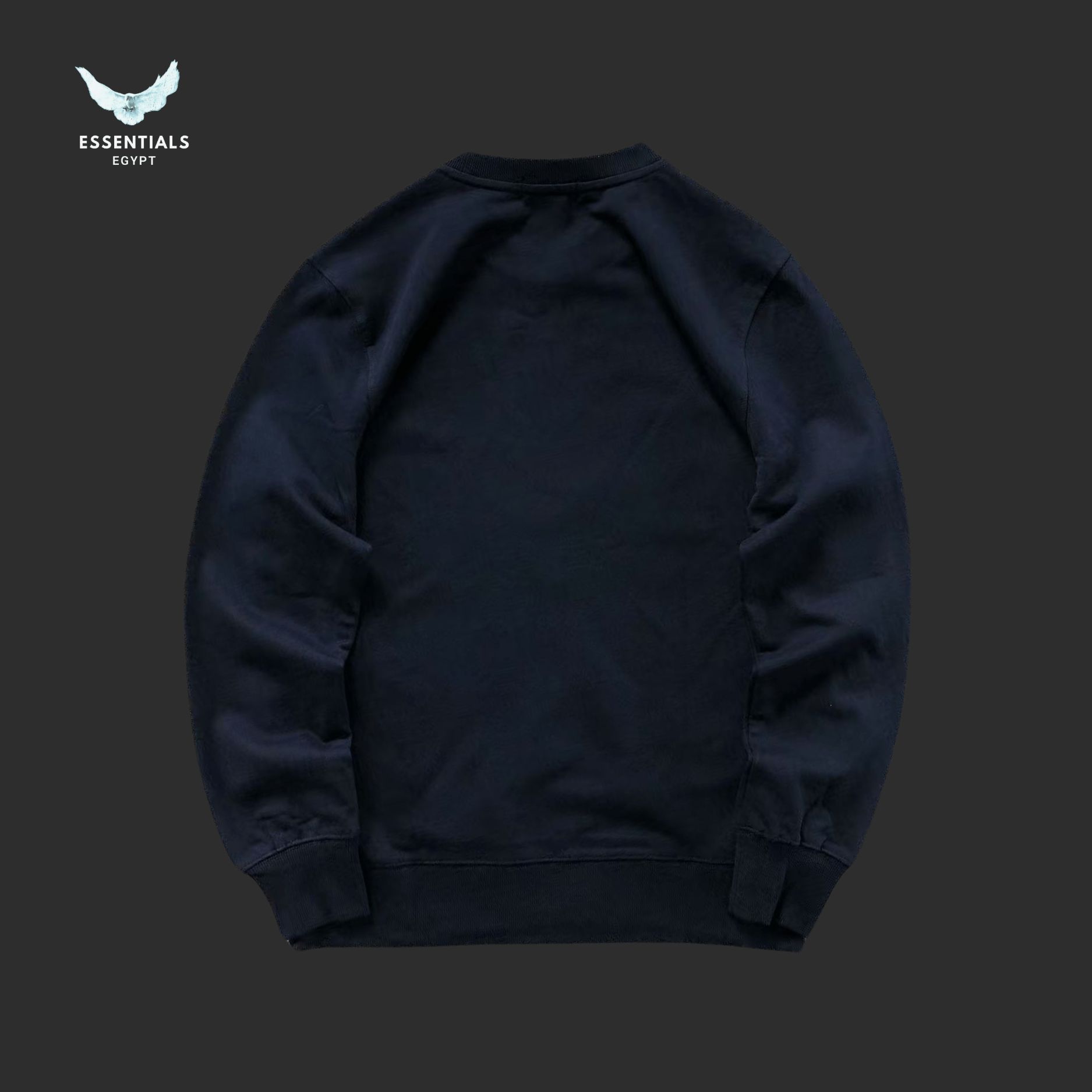 RALPH LAUREN HOODIE 217082504 - ESSENTIALS EGYPT