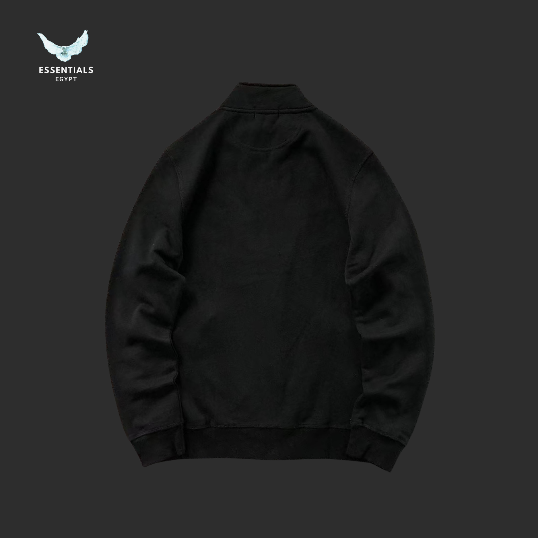 RALPH LAUREN SWEATSHIRT 3107293403