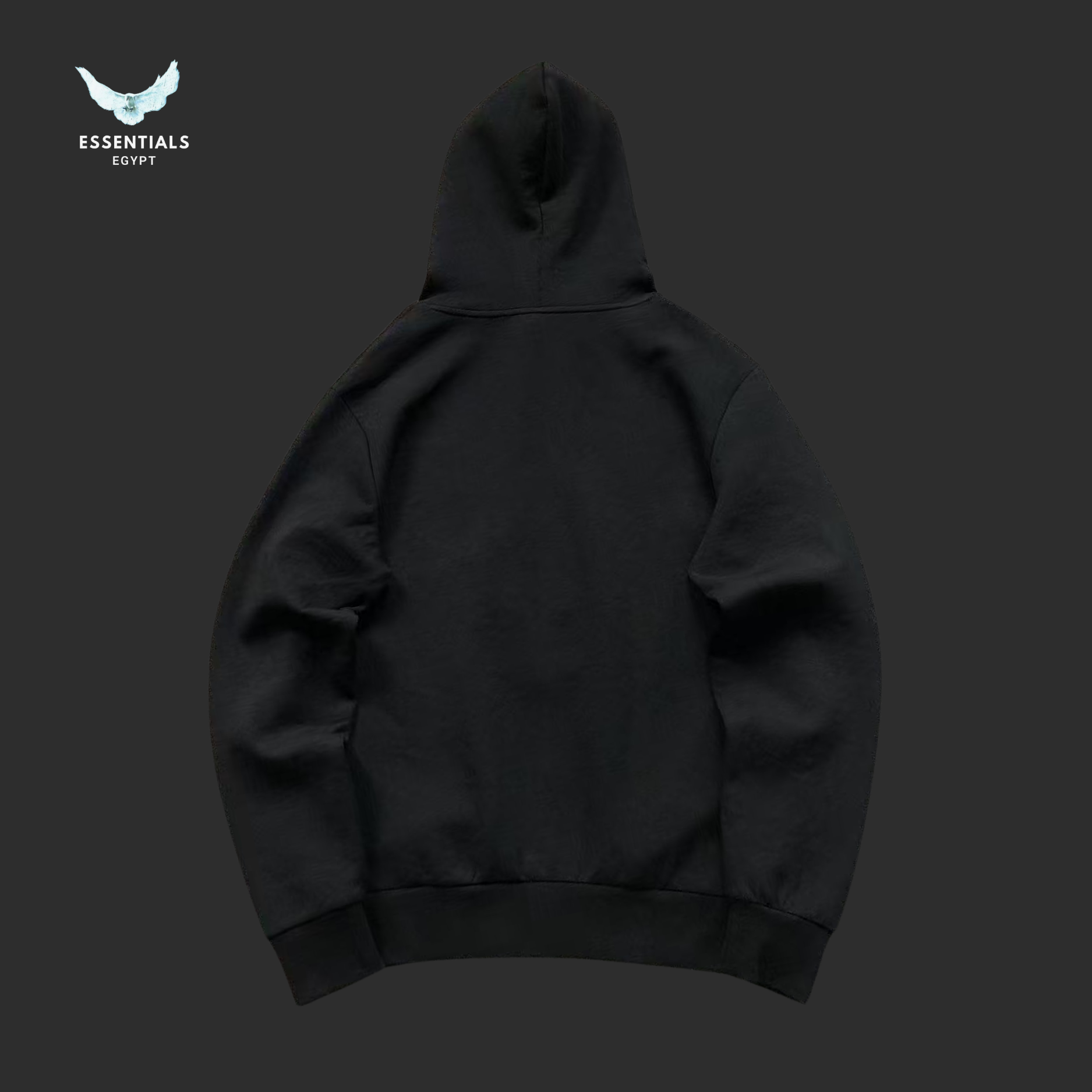 Ralph Lauren Hoodie – Camo Pony Graphic