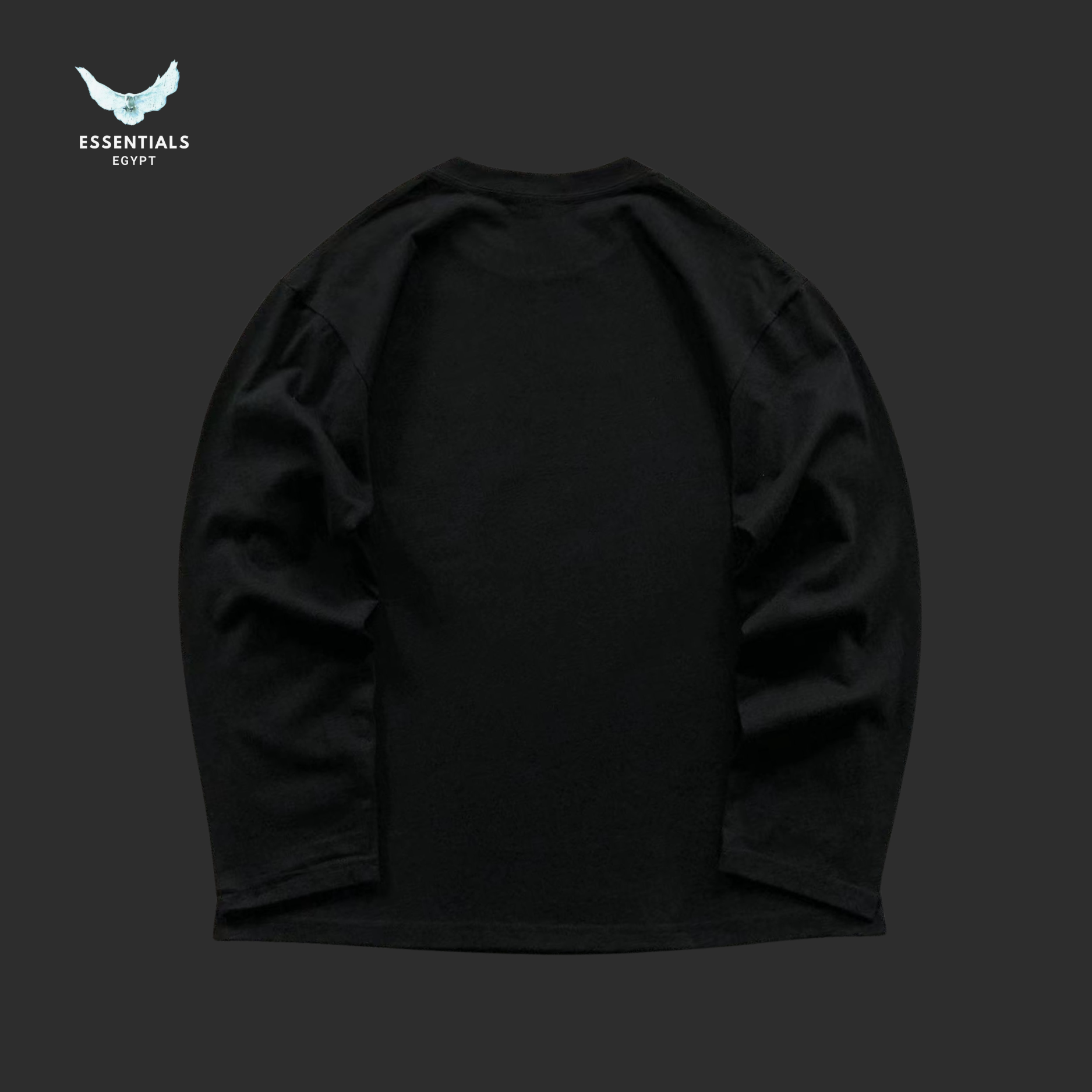Ralph Lauren Long Sleeve Polo Shirt – Signature Logo