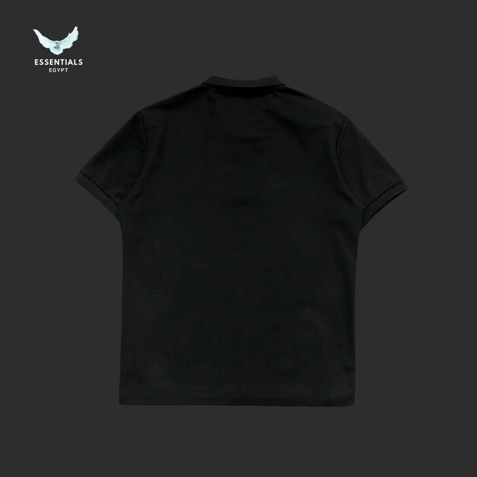 Ralph Lauren Polo – Two-Tone Pony Logo