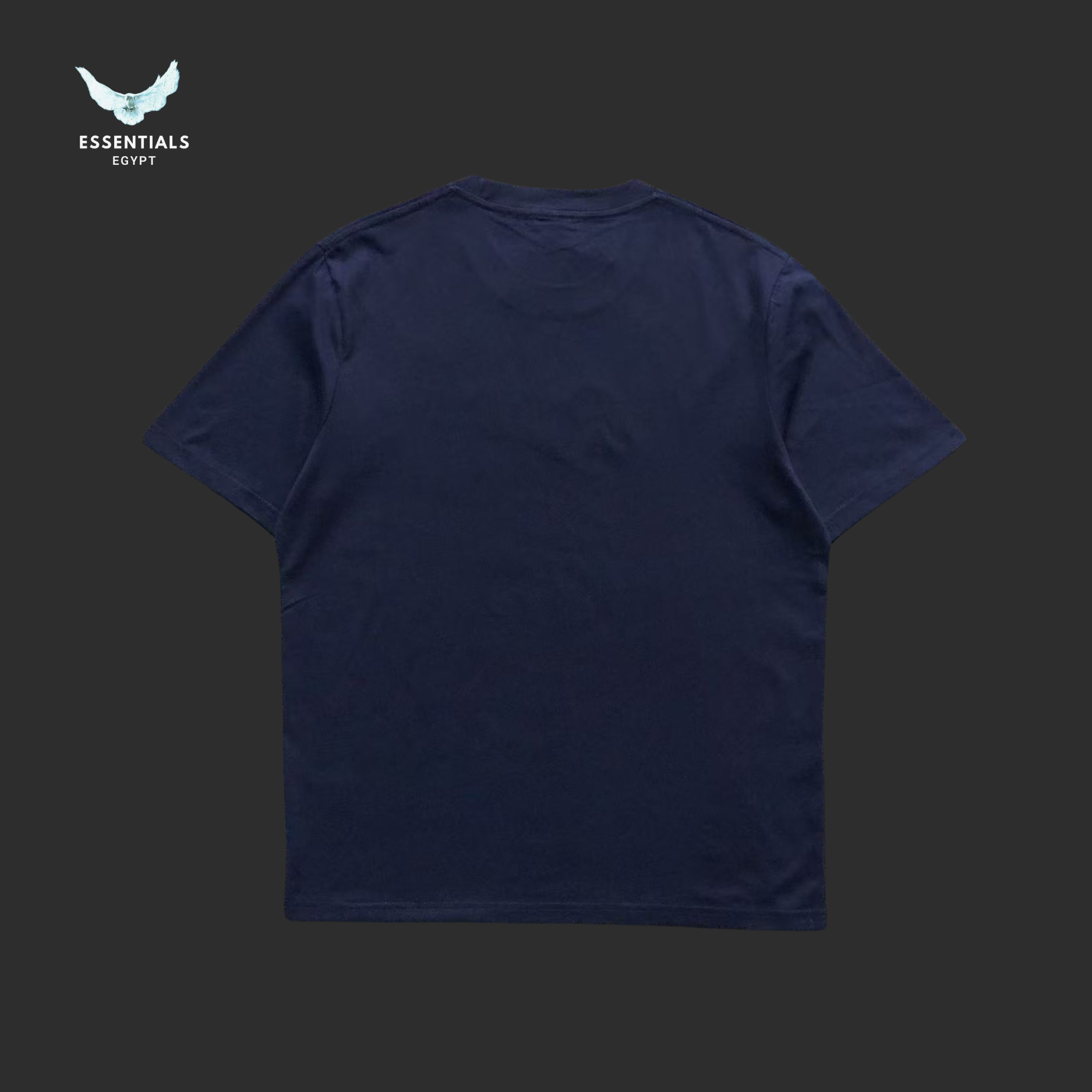 Ralph Lauren T-Shirt – Script Logo