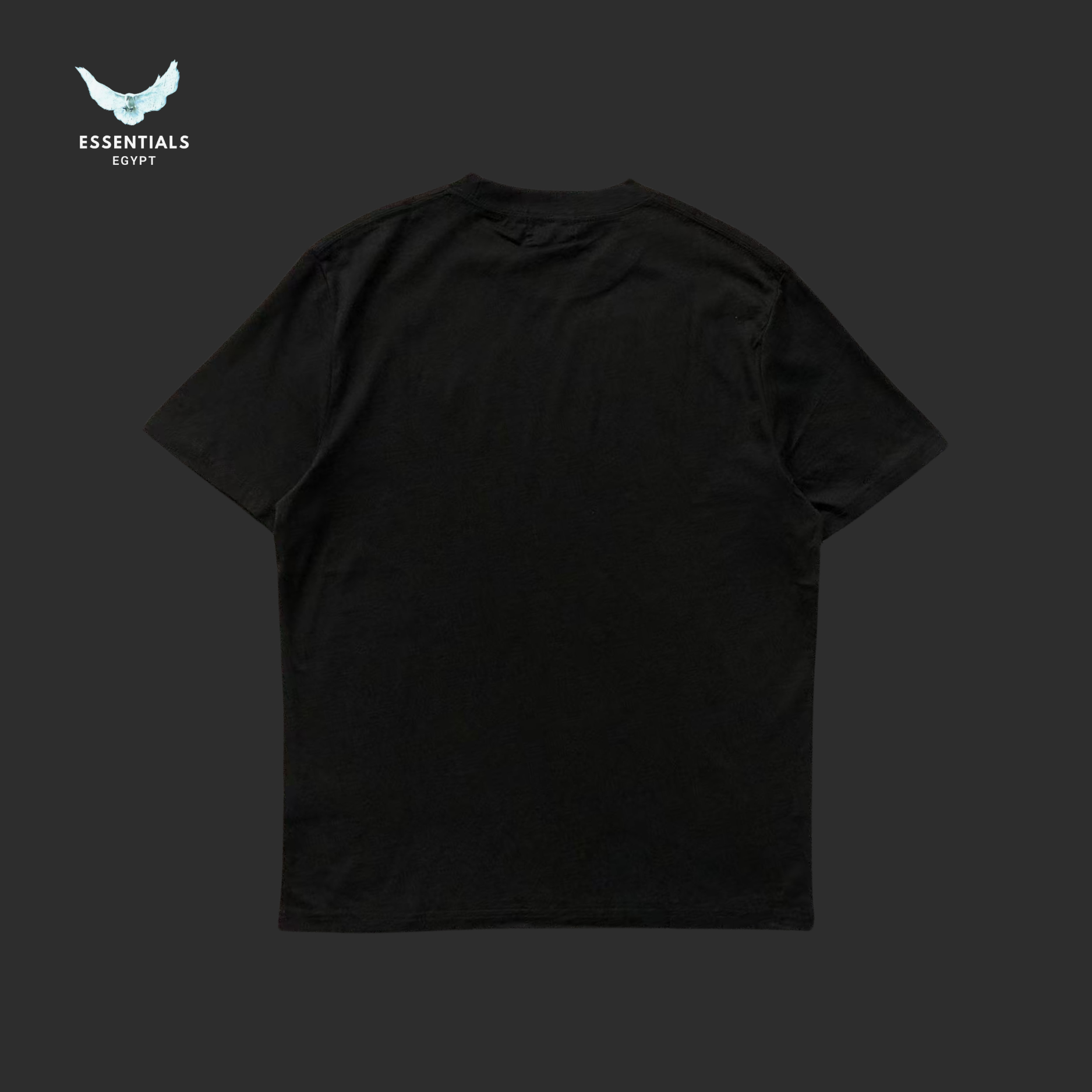 Ralph Lauren T-Shirt – Minimal Pony Logo