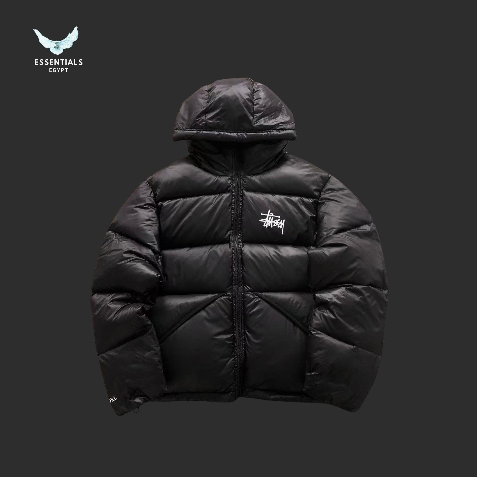 Stussy Micro Ripstop Down Parka Jacket