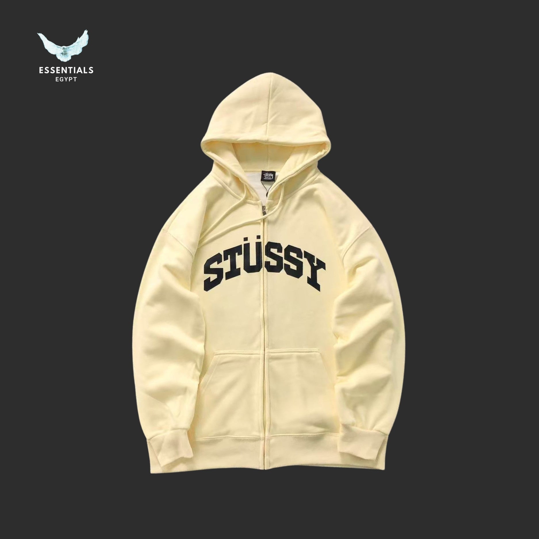 Stussy Block Sport Zip Hoodie