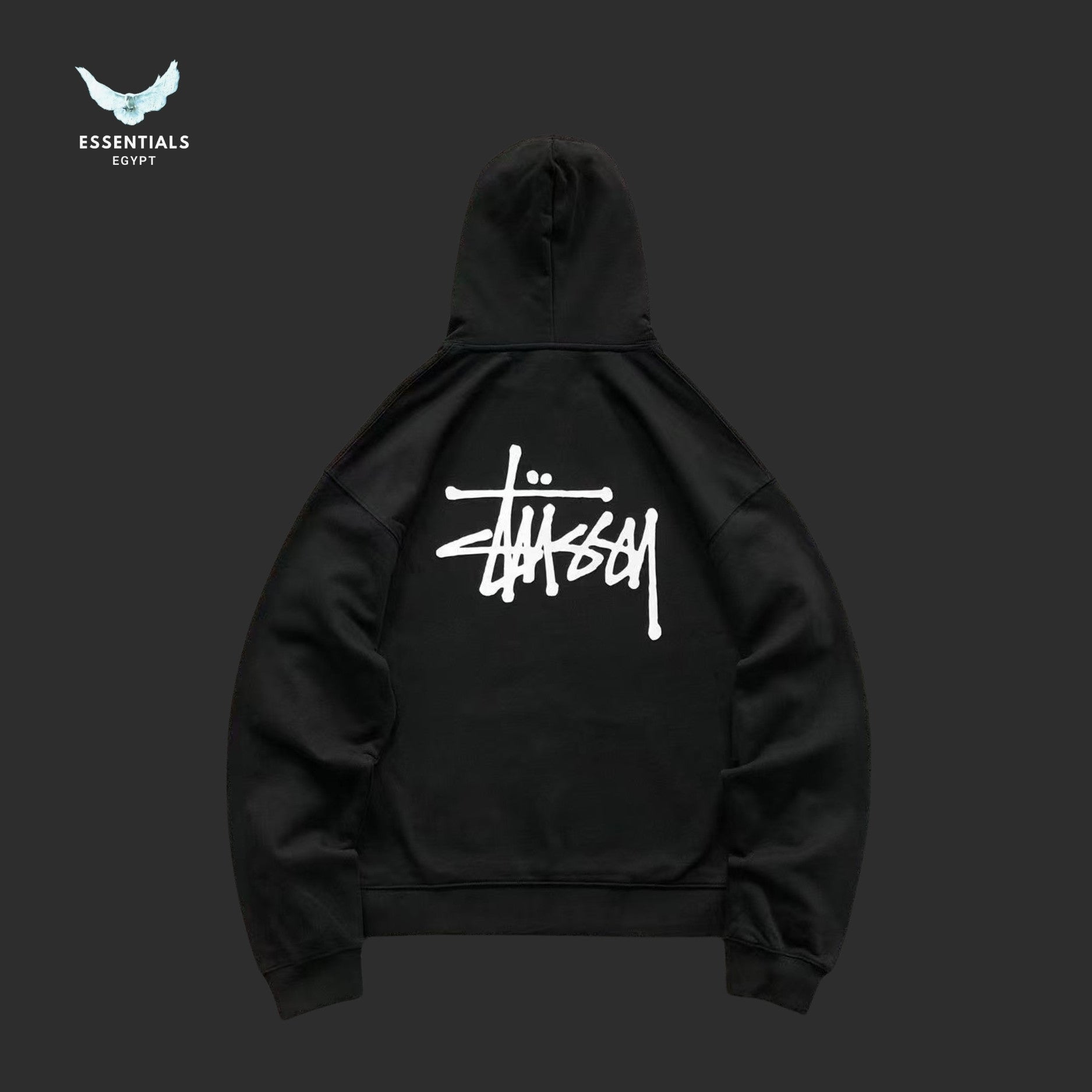 Basic Stüssy Hoodie