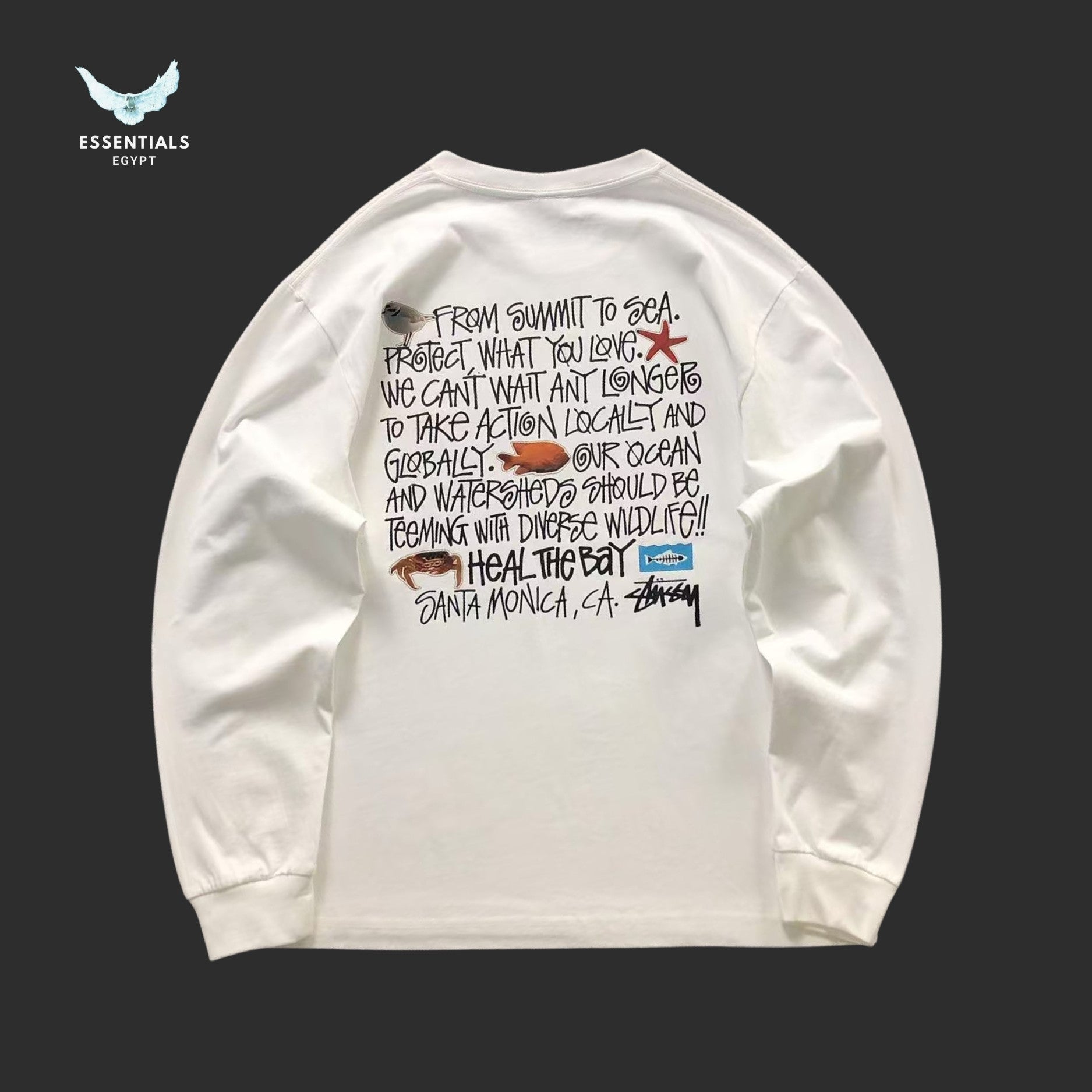 Back view of Stussy sweatshirt with Heal The Bay ocean graphic
