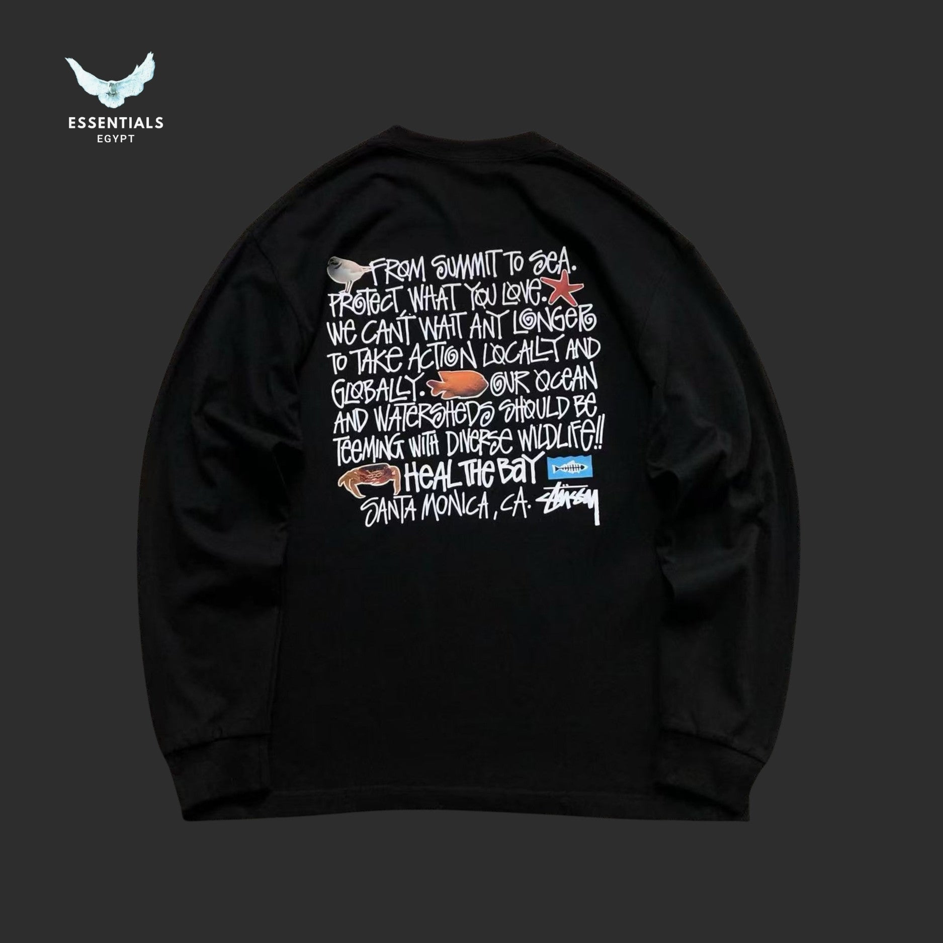 Stussy Heal The Bay sweatshirt in black with small chest logo