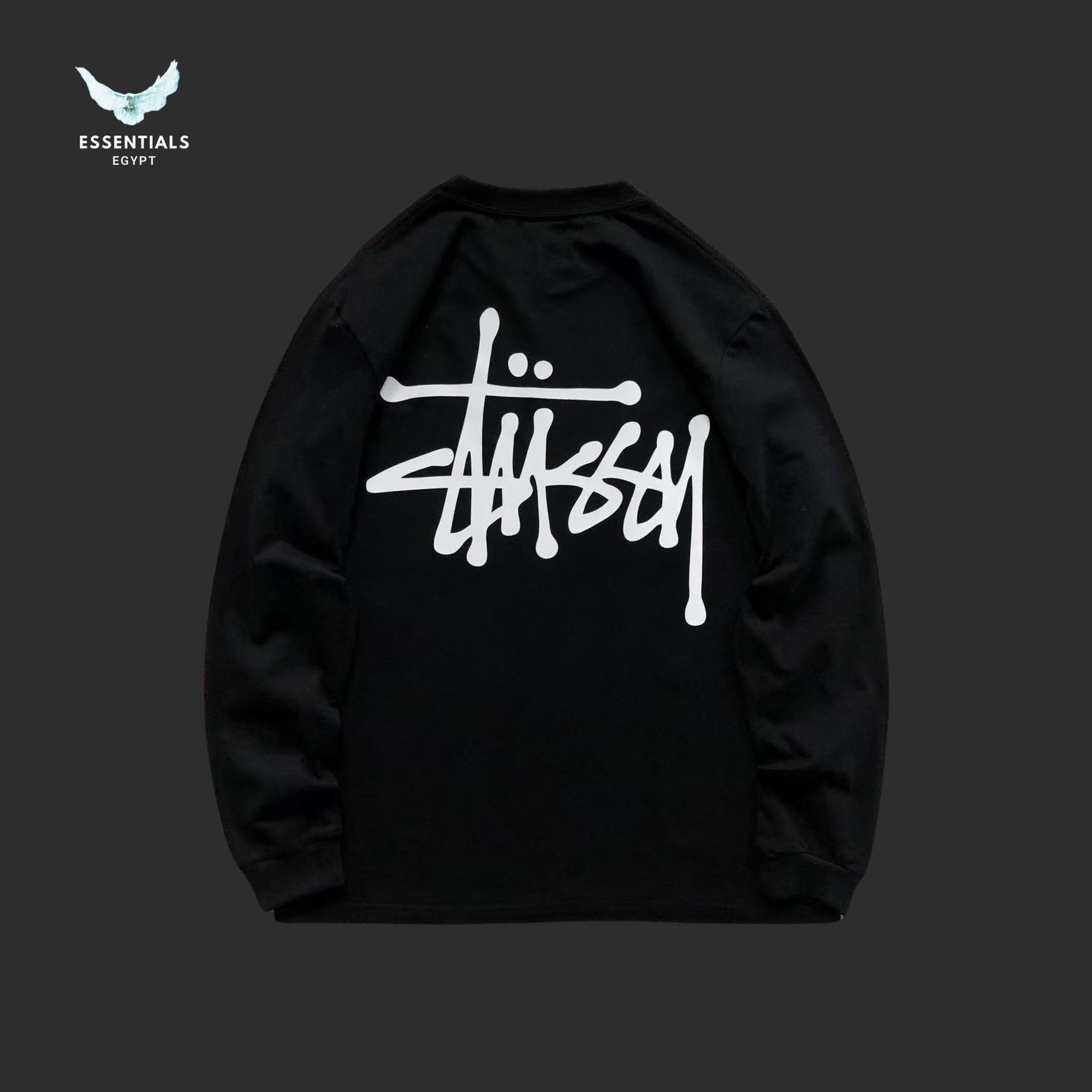 Basic Stussy Long Sleeve Tee