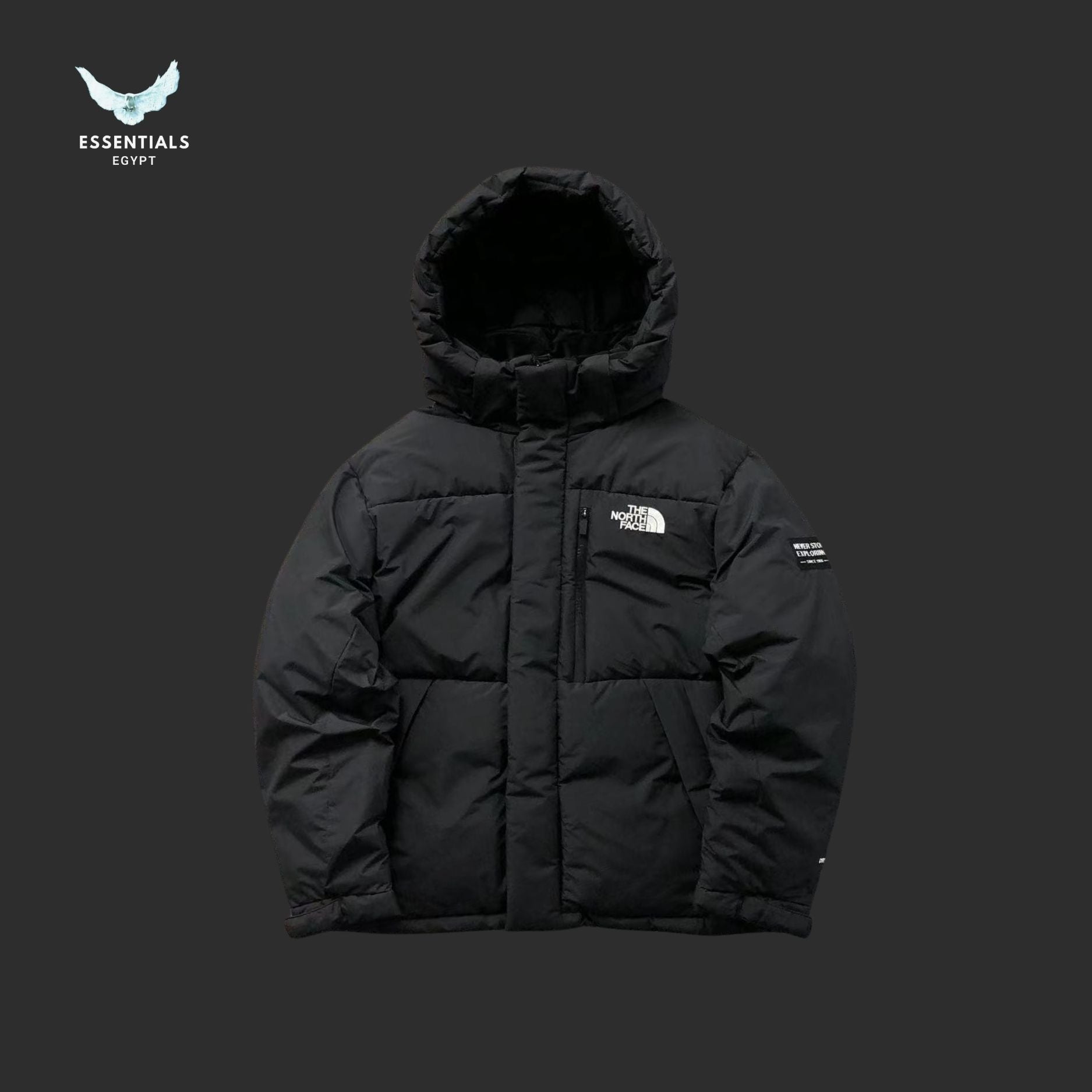 TNF DOWN JACKETS 39210816 - ESSENTIALS EGYPT