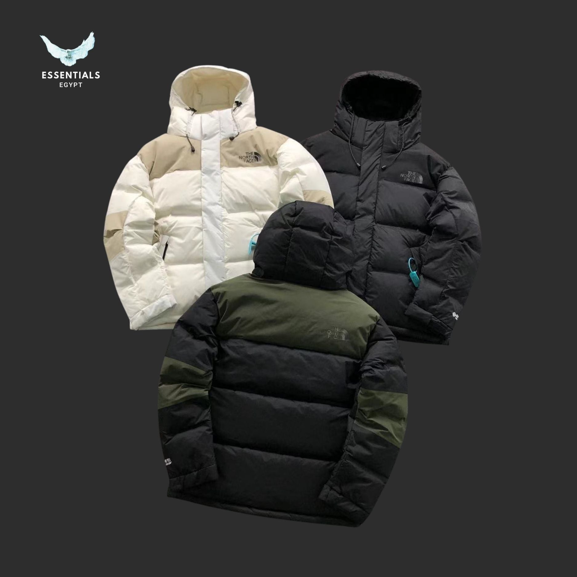 TNF DOWN JACKETS 3108052715 - ESSENTIALS EGYPT