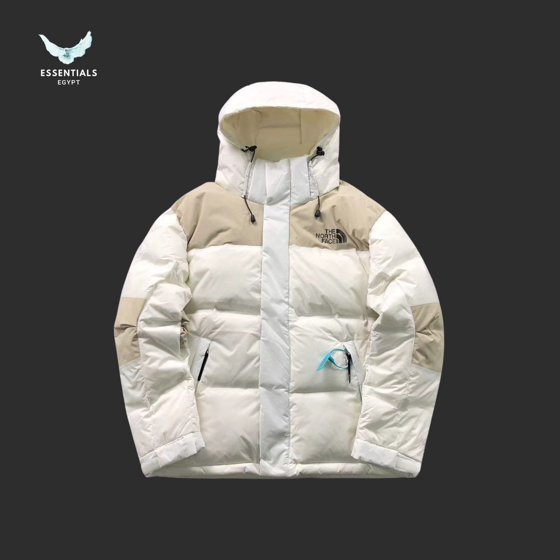 TNF DOWN JACKETS 3108052715 - ESSENTIALS EGYPT