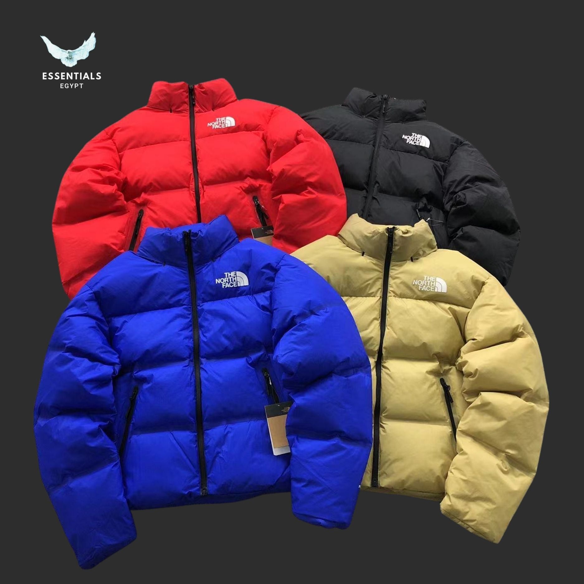 TNF DOWN JACKETS - ESSENTIALS EGYPT