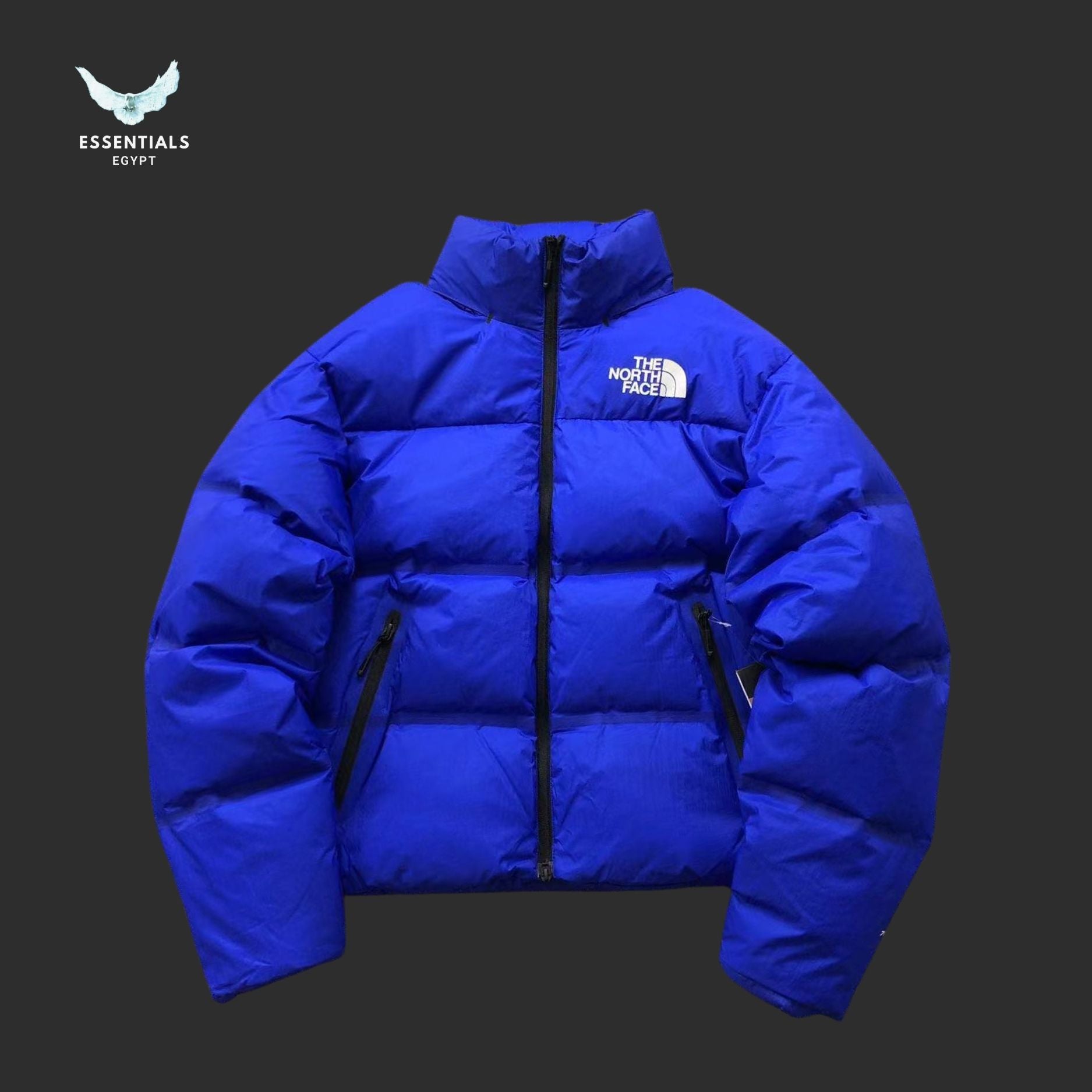 TNF DOWN JACKETS - ESSENTIALS EGYPT