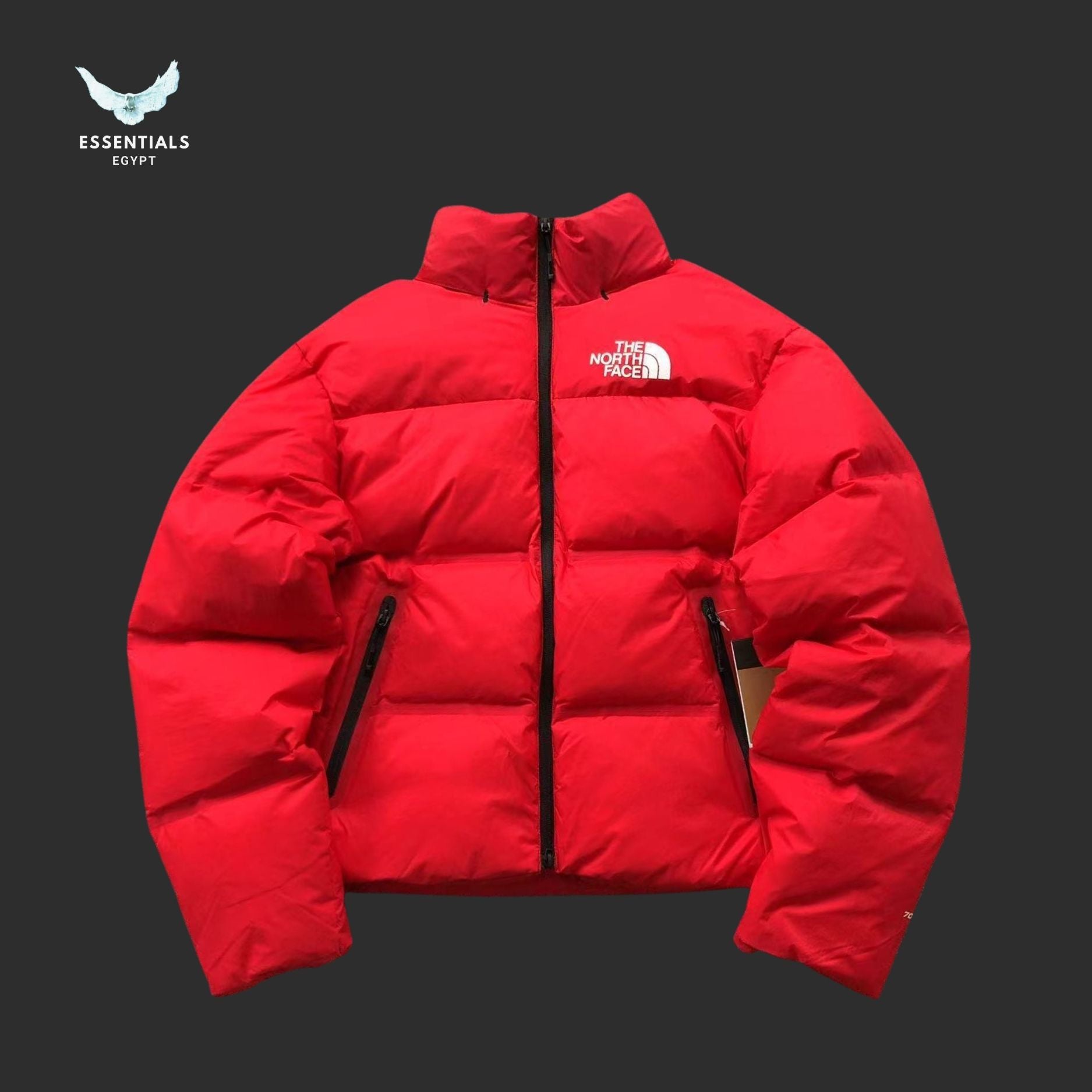 TNF DOWN JACKETS - ESSENTIALS EGYPT