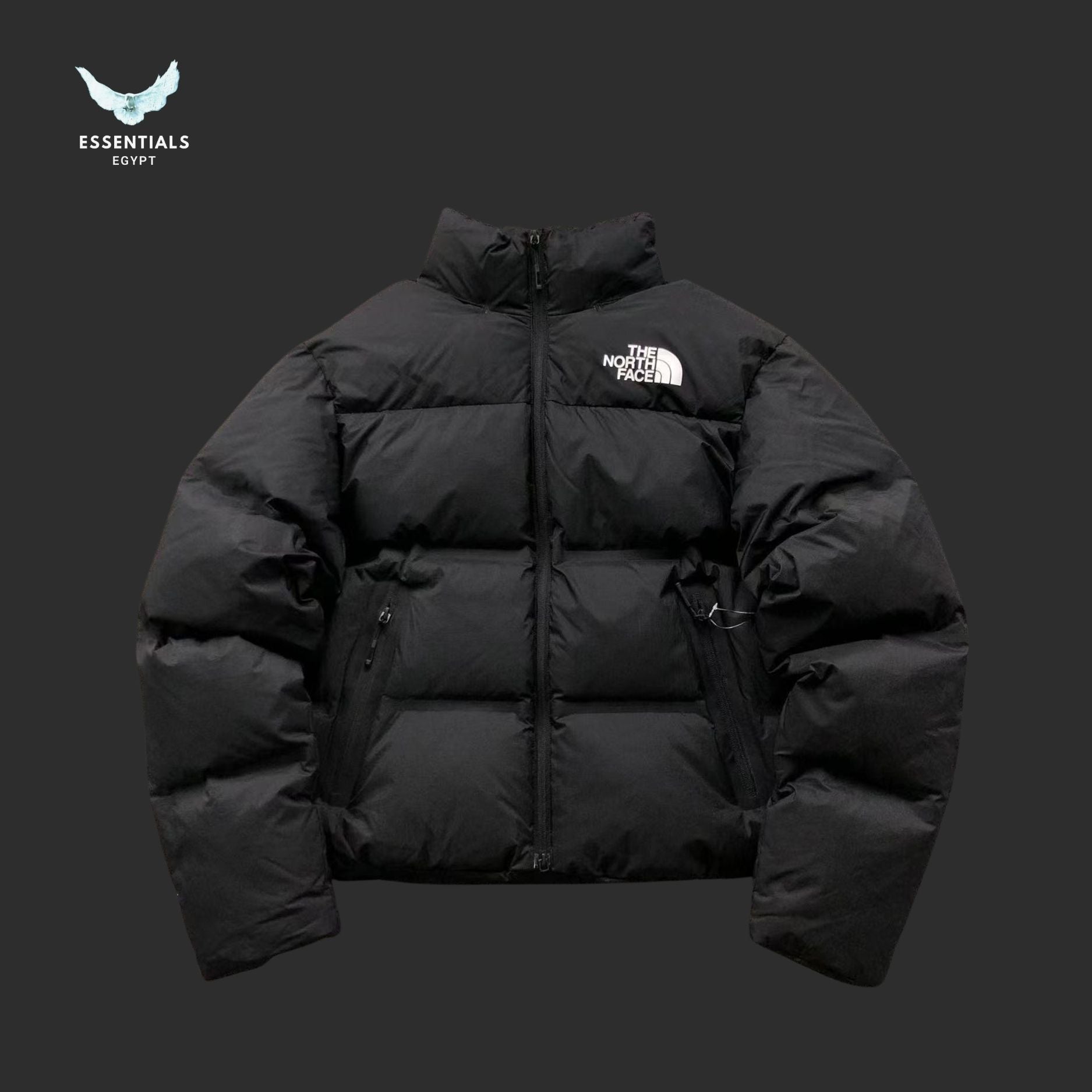 TNF DOWN JACKETS - ESSENTIALS EGYPT