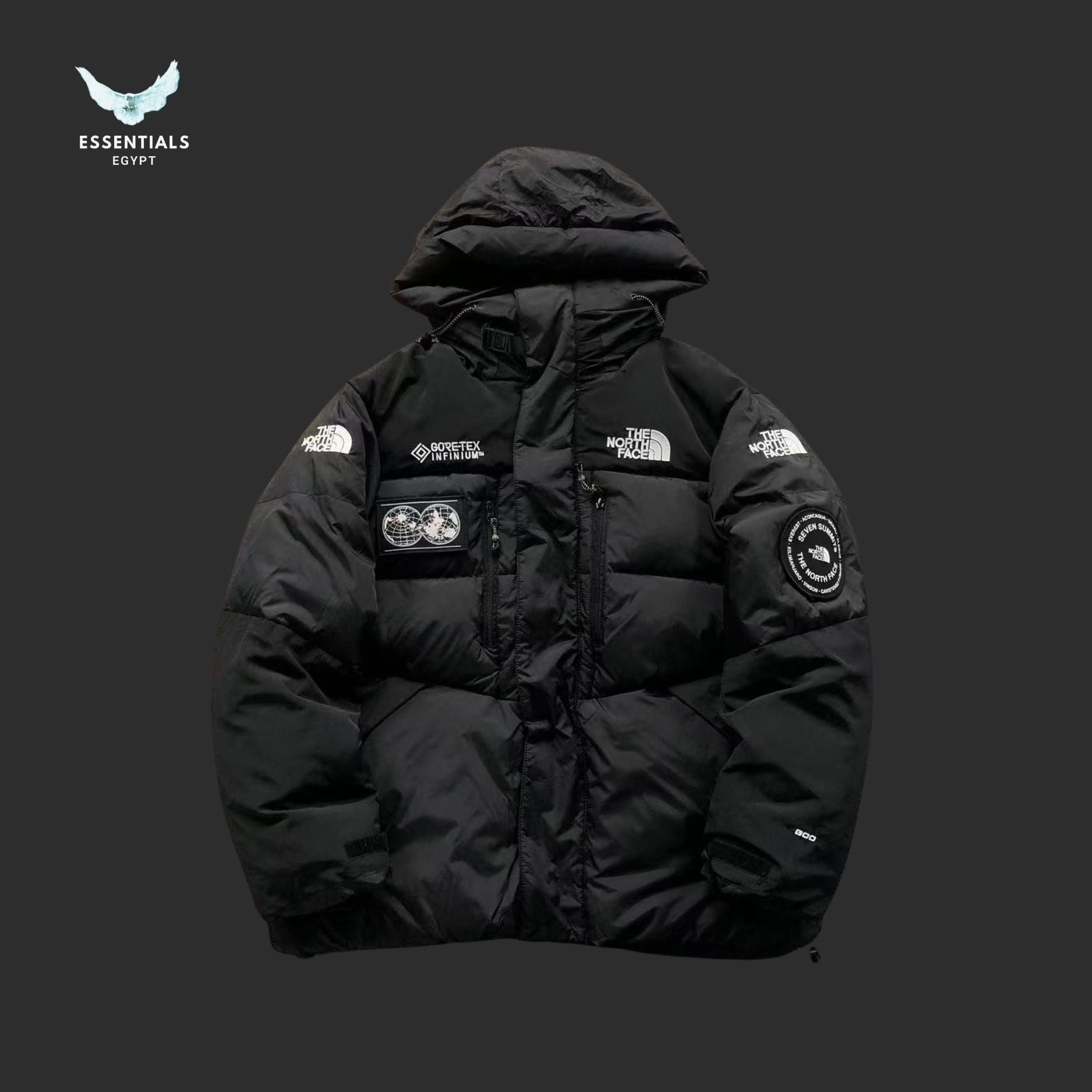 The North Face 700 Arctic Puffer - ESSENTIALS EGYPT