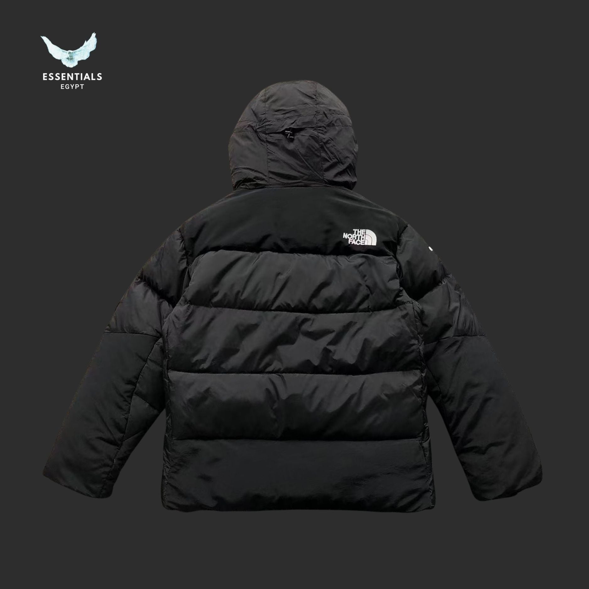 The North Face 700 Arctic Puffer - ESSENTIALS EGYPT