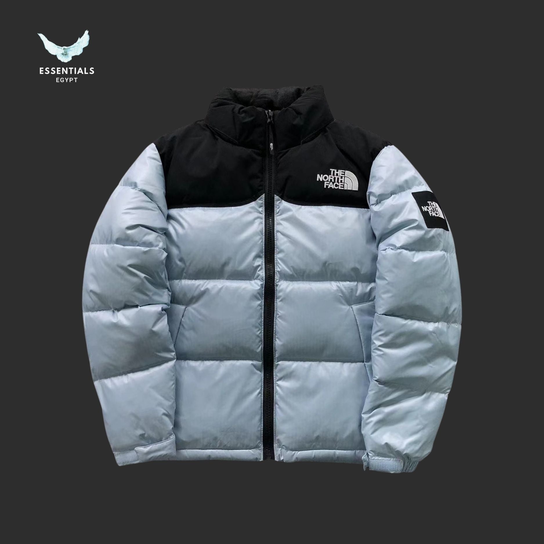 TNF DOWN JACKETS 3109172216 - ESSENTIALS EGYPT
