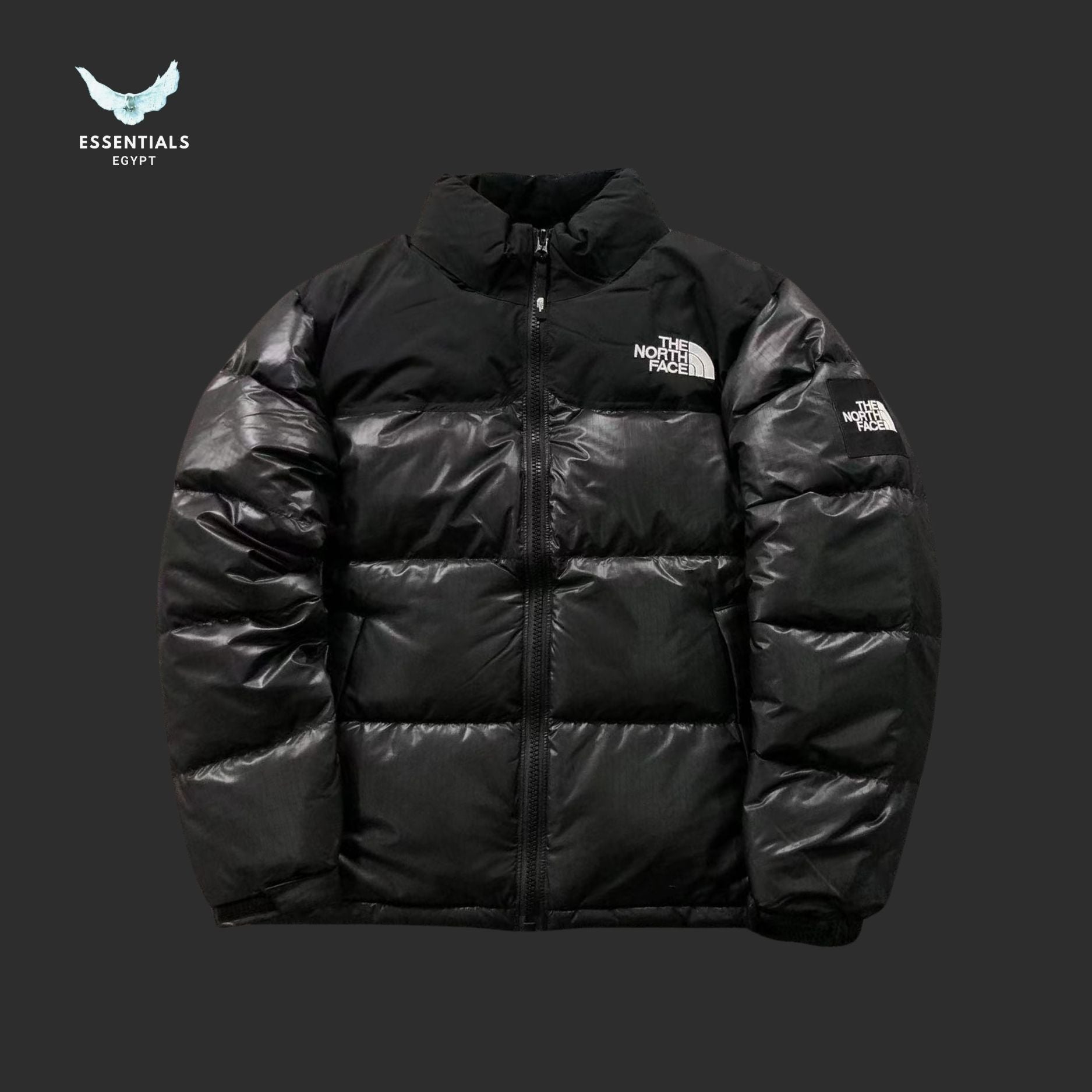TNF DOWN JACKETS 3109172216 - ESSENTIALS EGYPT