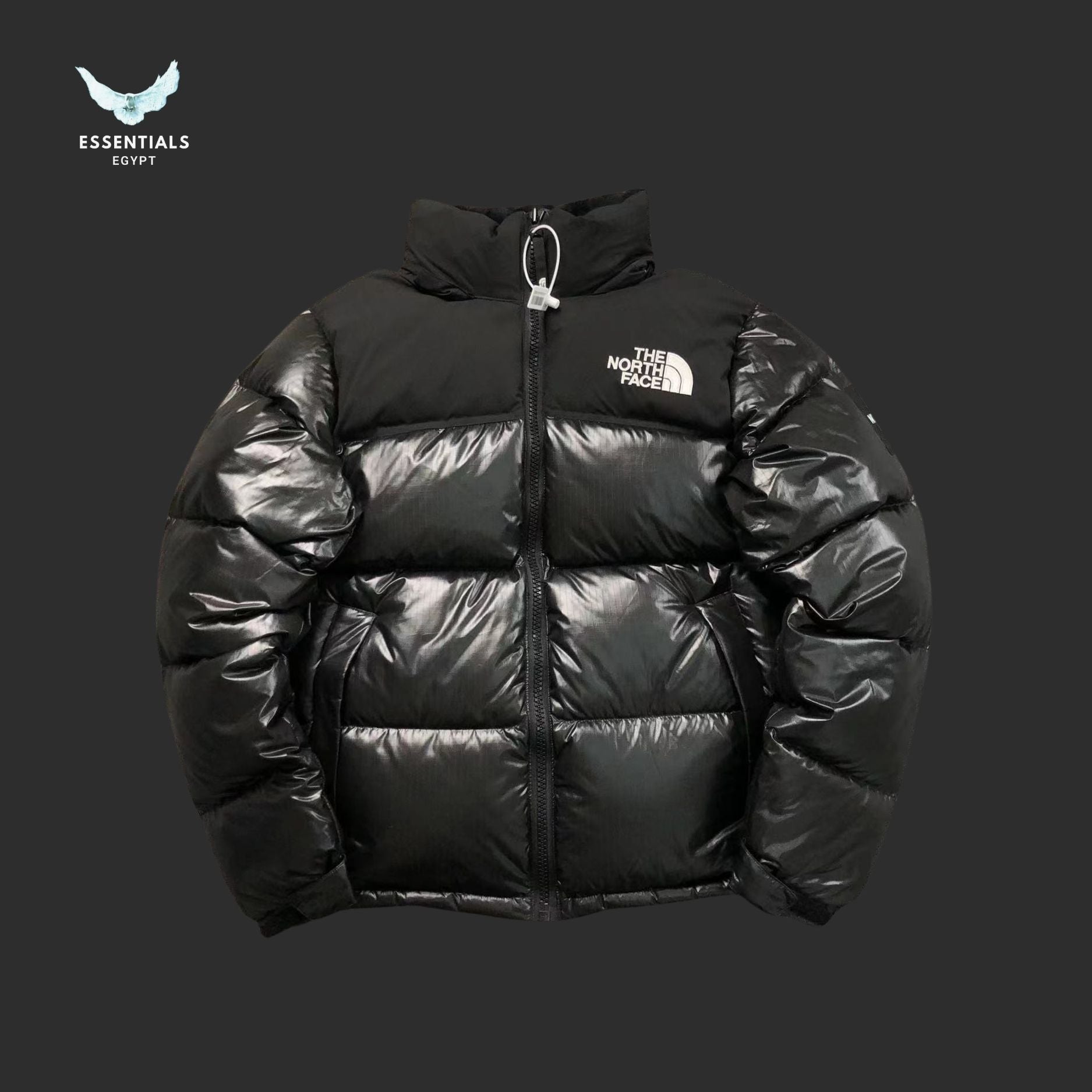 The North Face 1996 Nuptse Down Jacket - ESSENTIALS EGYPT