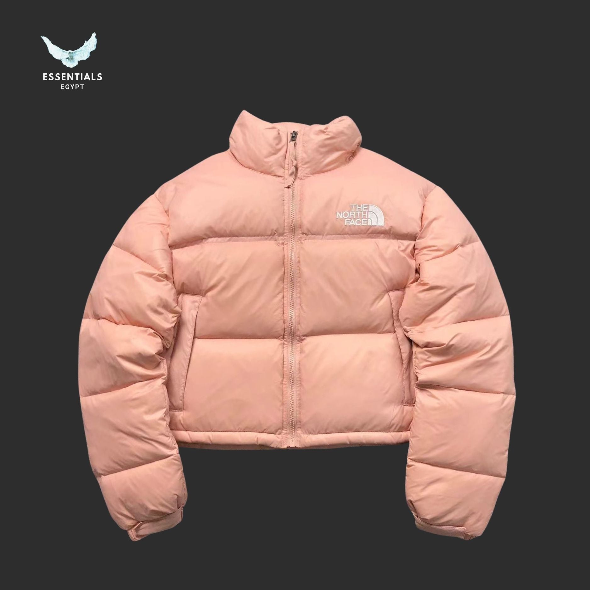 TNF DOWN JACKETS 381202 - ESSENTIALS EGYPT