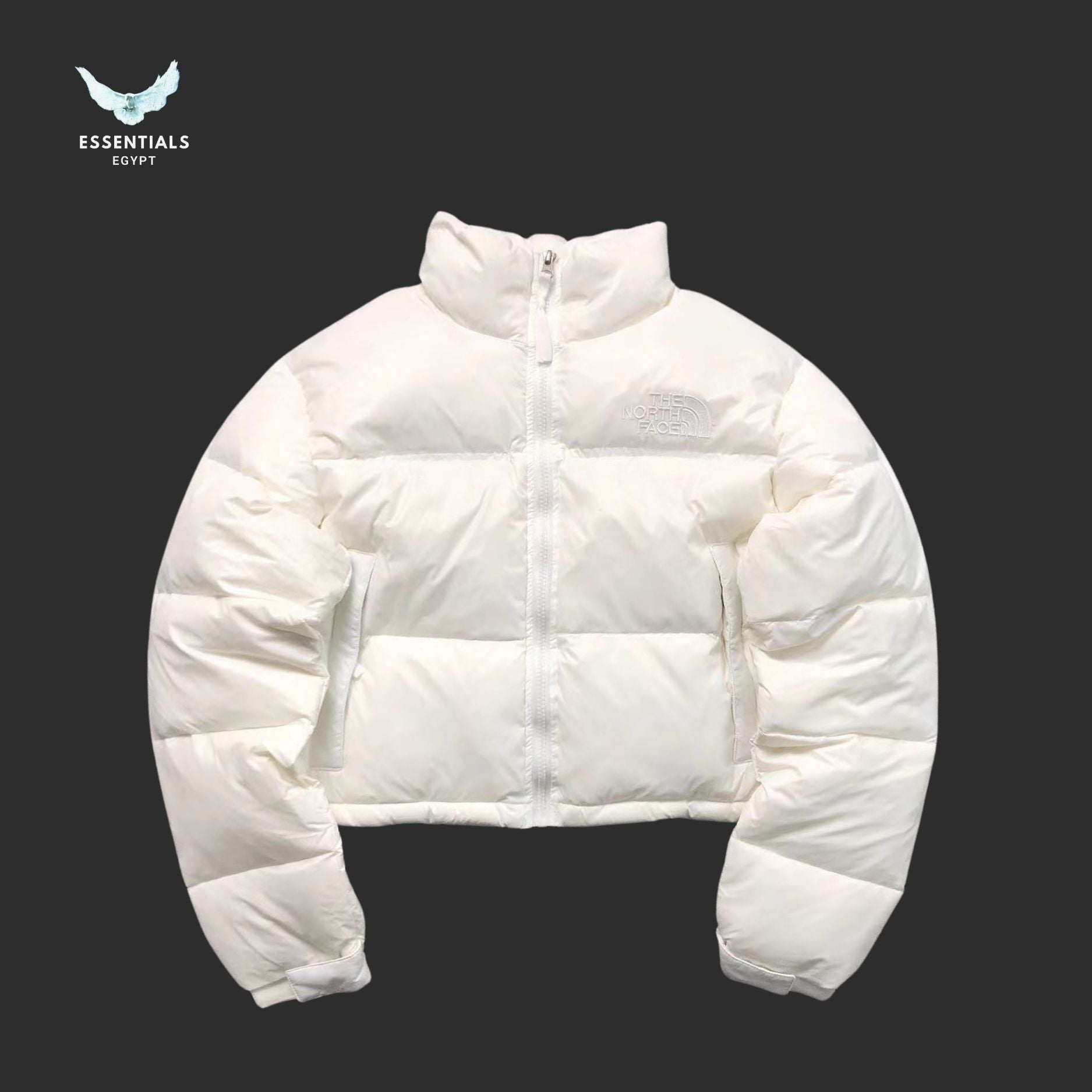 TNF DOWN JACKETS 381202 - ESSENTIALS EGYPT