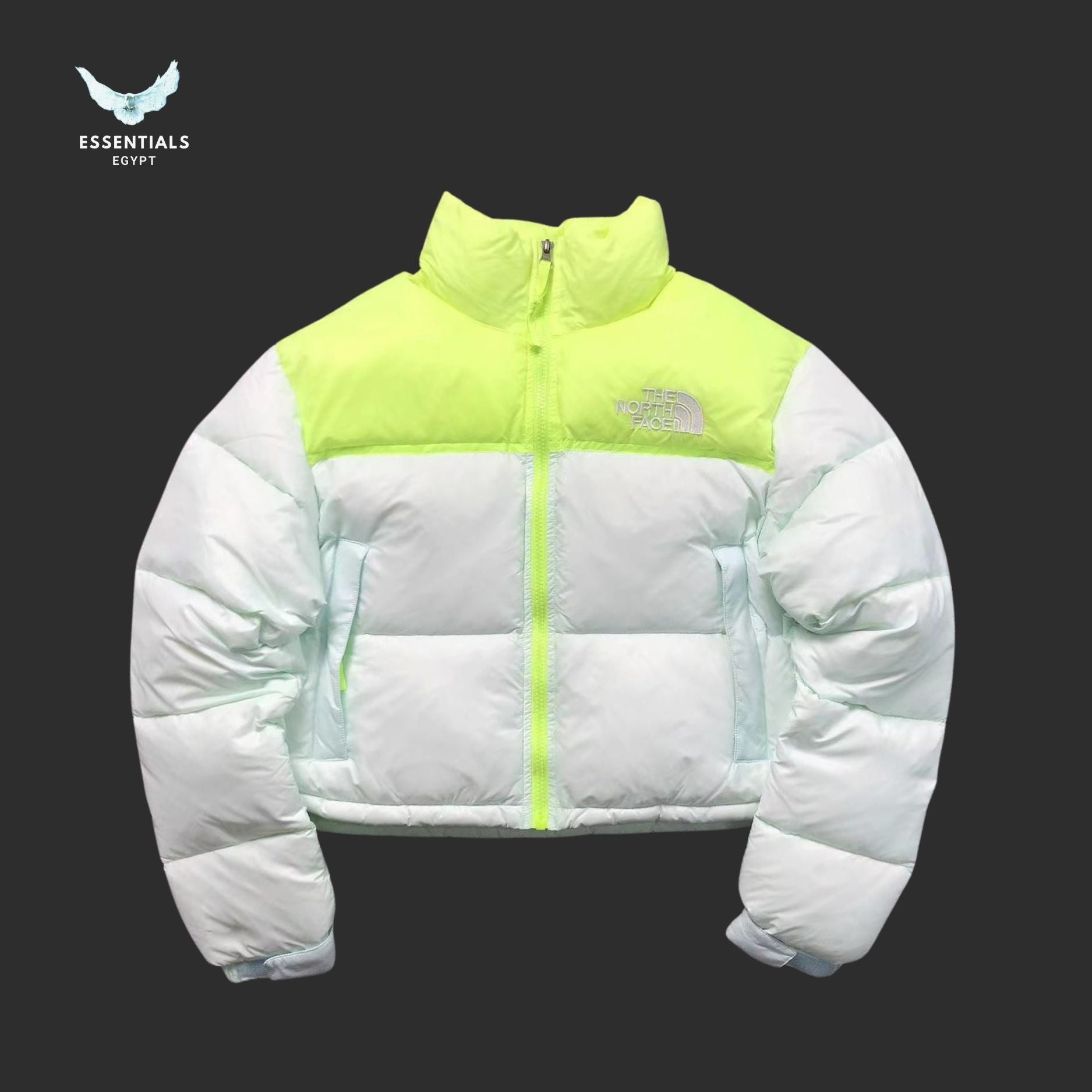 TNF DOWN JACKETS 381202 - ESSENTIALS EGYPT