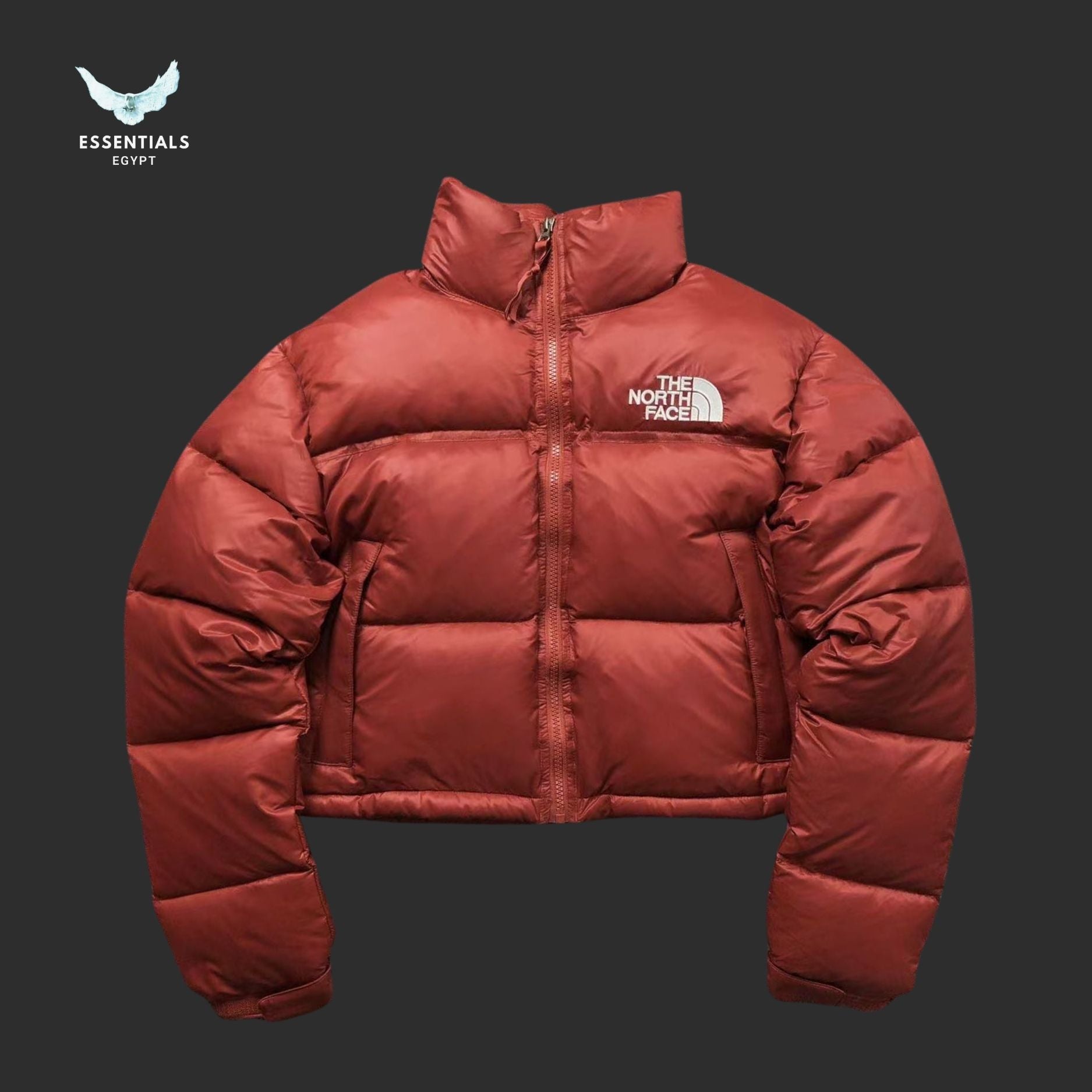 TNF DOWN JACKETS 381202 - ESSENTIALS EGYPT