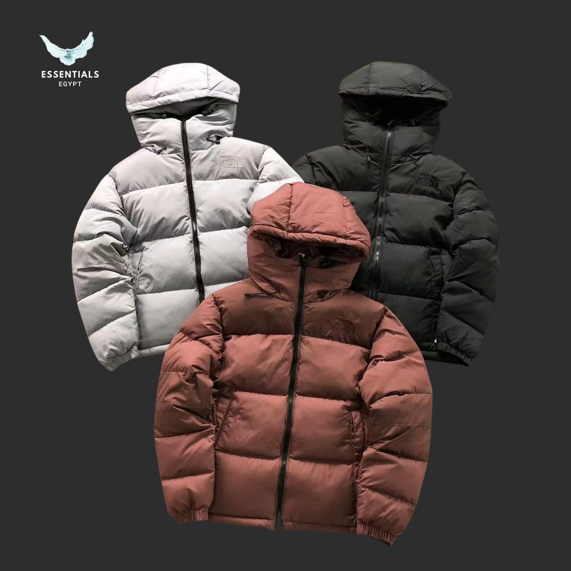 TNF DOWN JACKETS 4108020477 - ESSENTIALS EGYPT