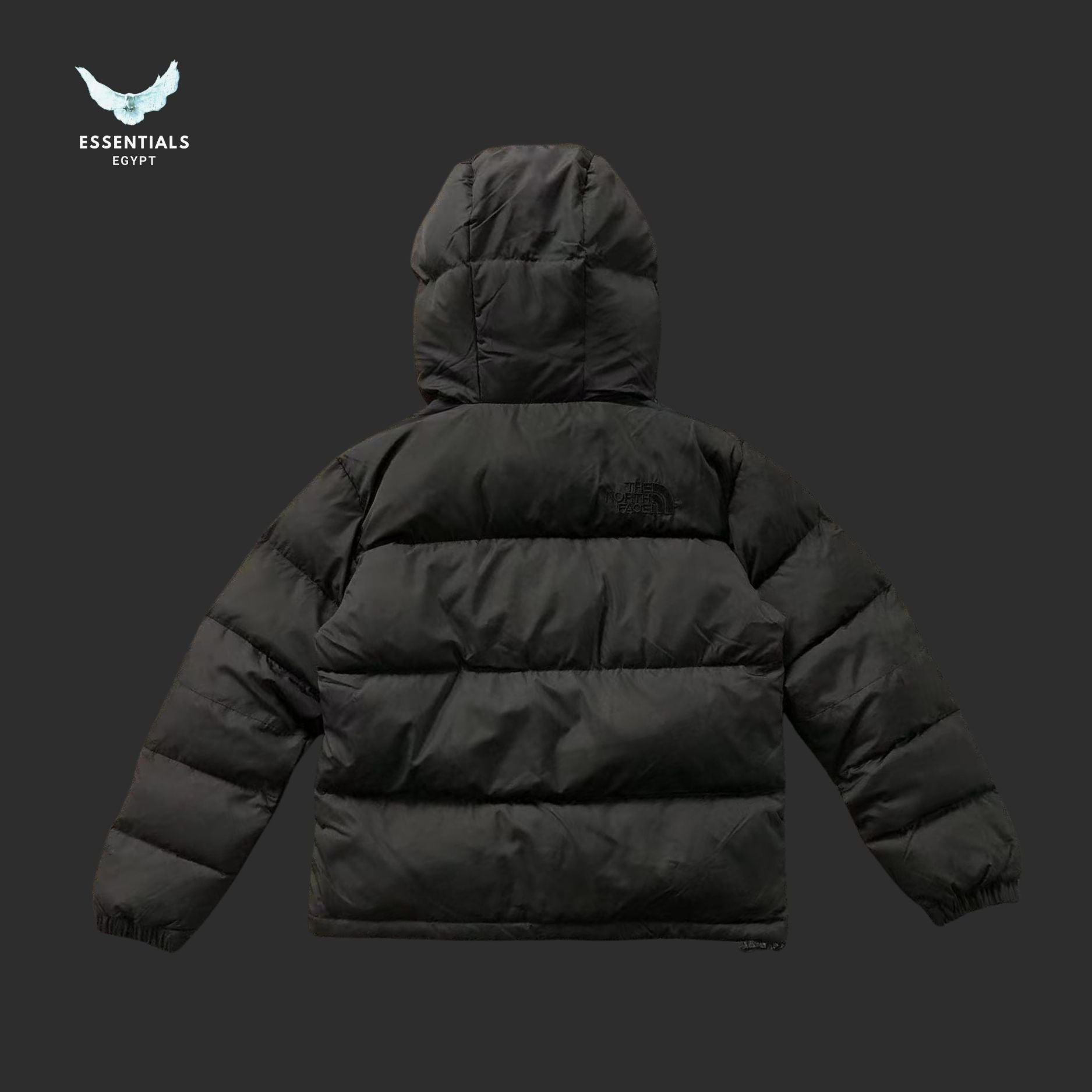 TNF DOWN JACKETS 4108020477 - ESSENTIALS EGYPT