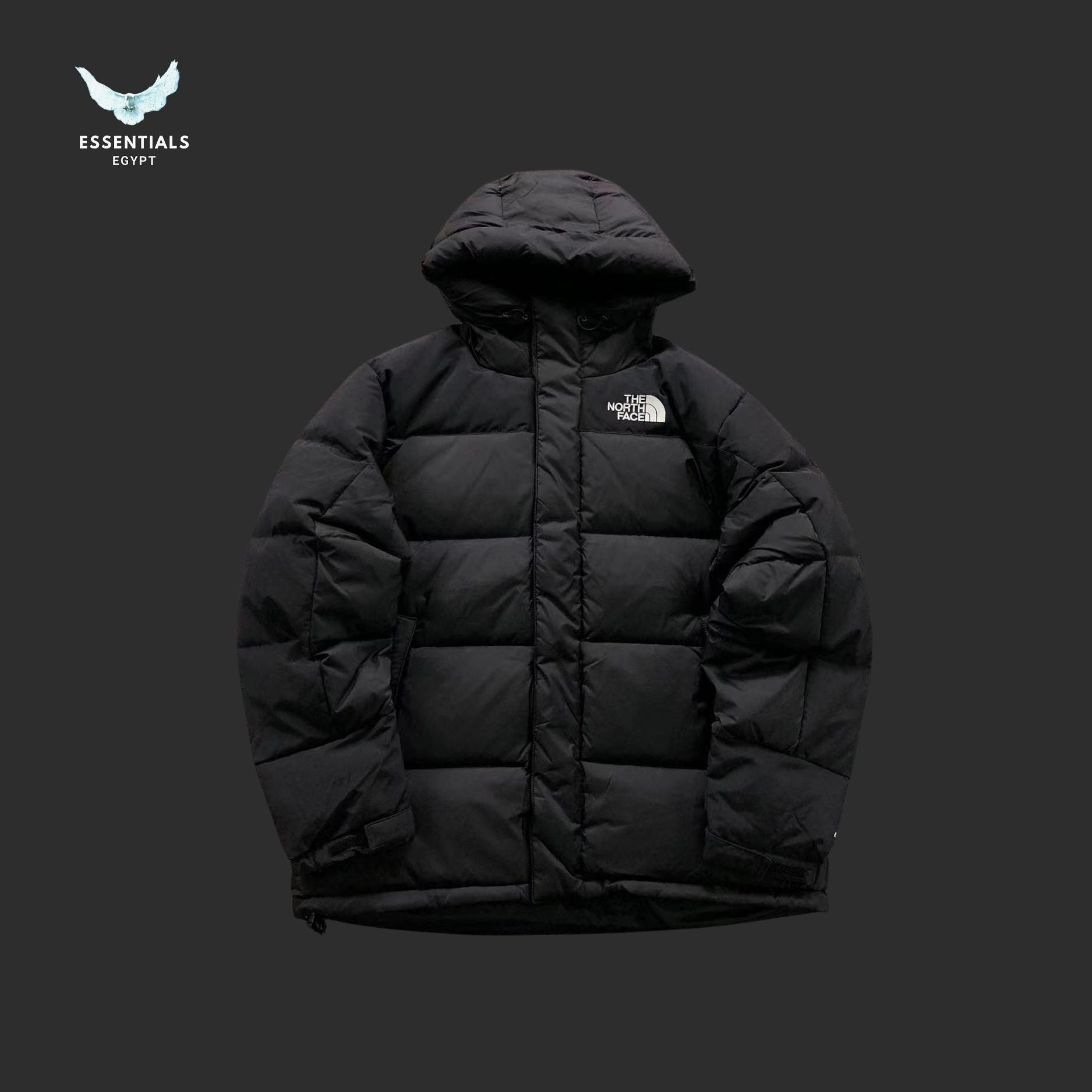 TNF DOWN JACKETS 4108131877 - ESSENTIALS EGYPT