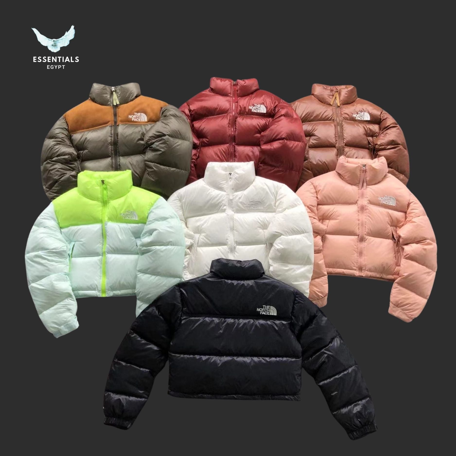 The North Face Cropped Down Jacket Egypt | Essentials EG