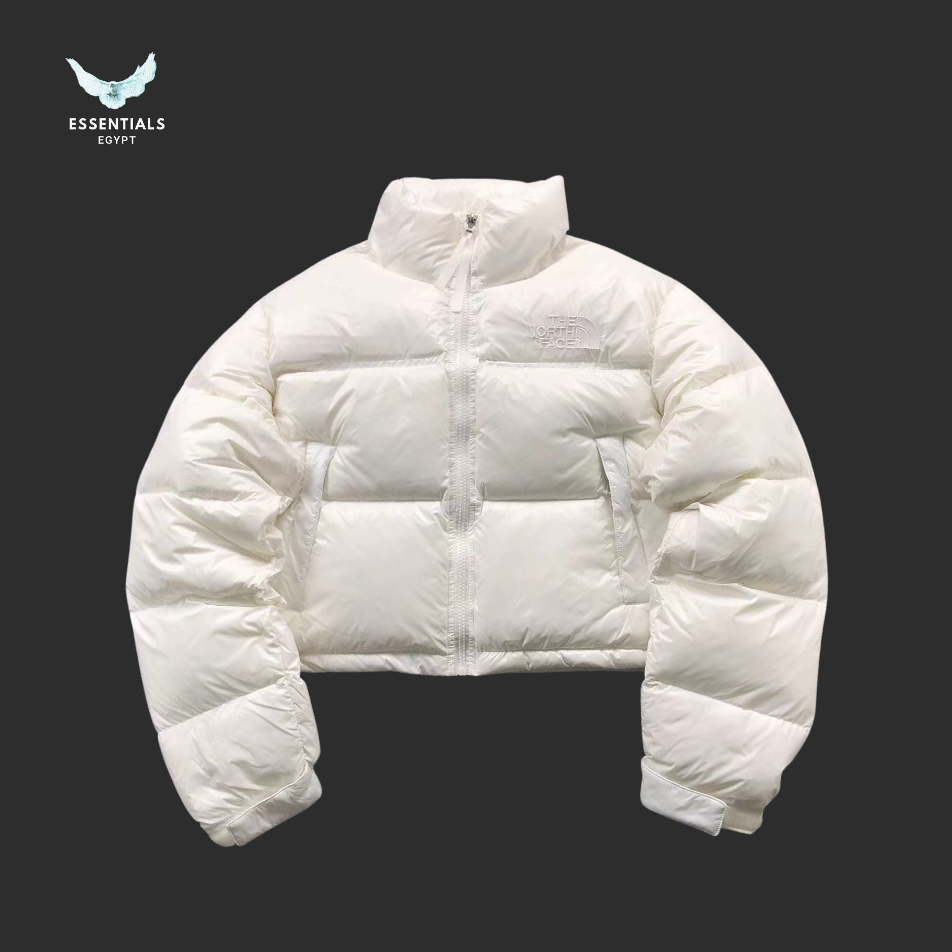 TNF DOWN JACKETS 213121615 - ESSENTIALS EGYPT