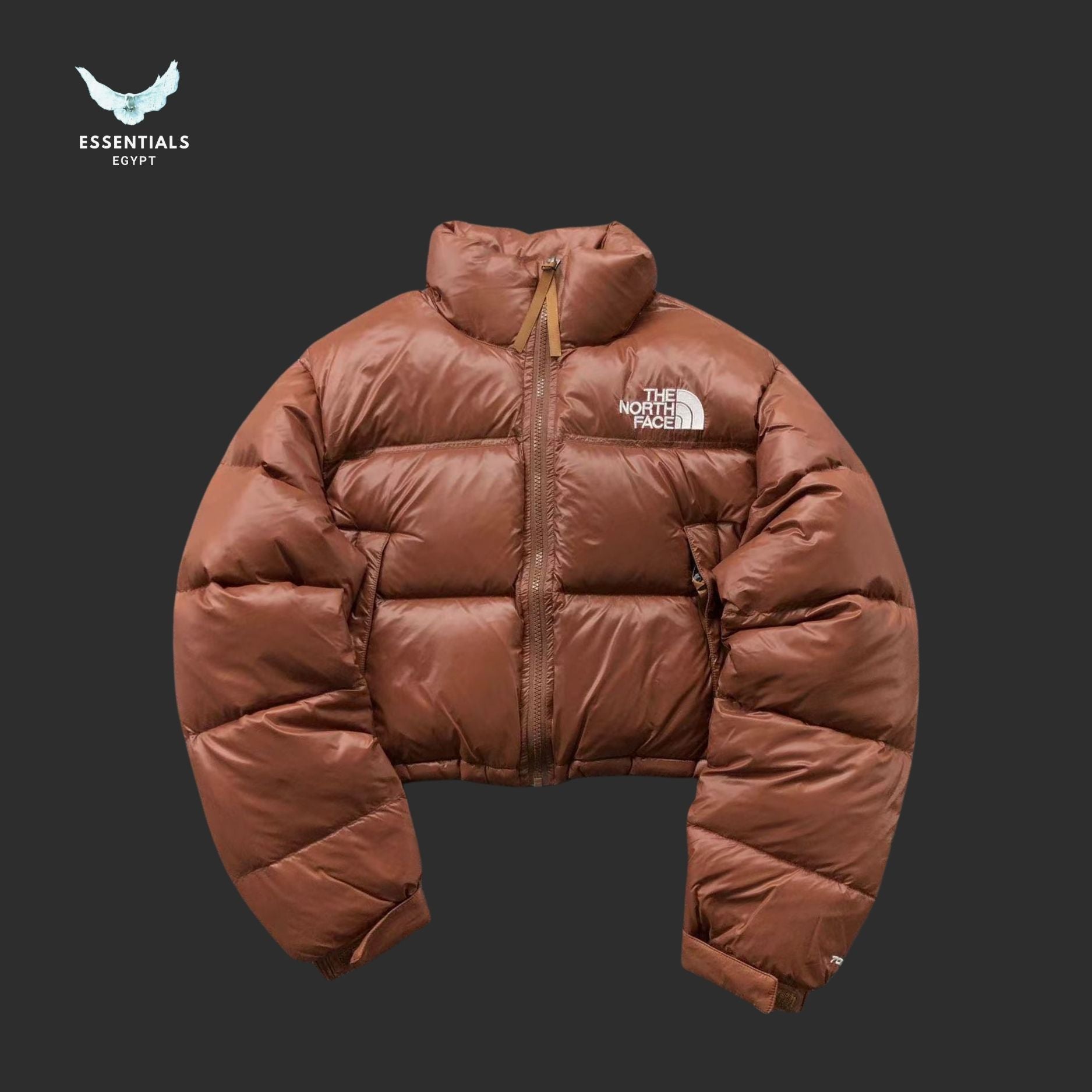 TNF DOWN JACKETS 213121615 - ESSENTIALS EGYPT